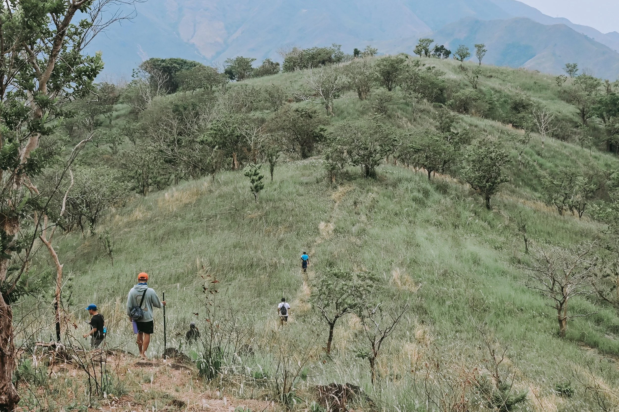 Mad Travel Reforestation.JPG