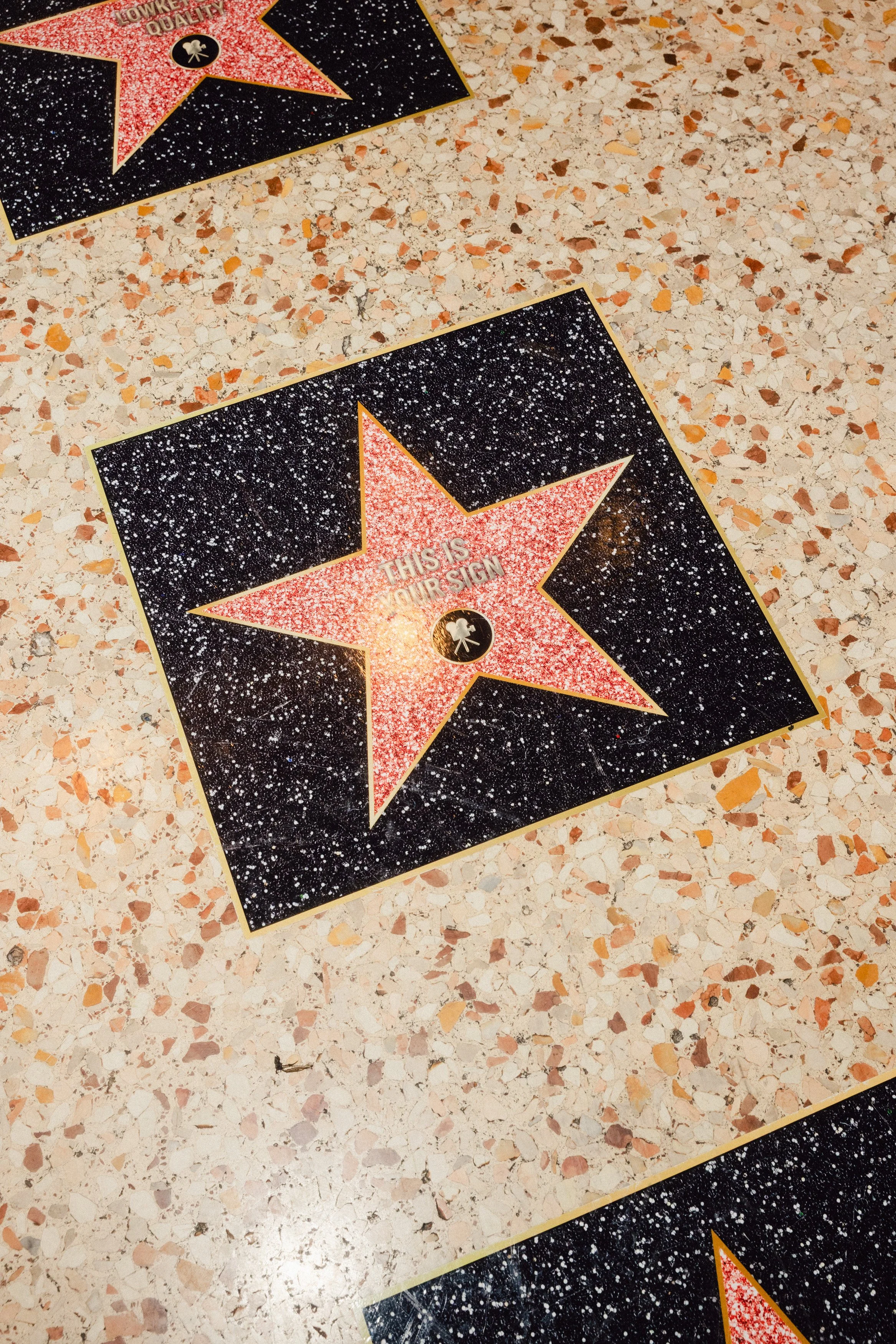 Furla Cinemania (1).jpg