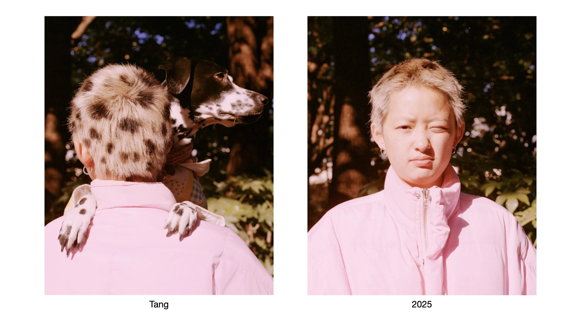 groove headx.016.jpeg