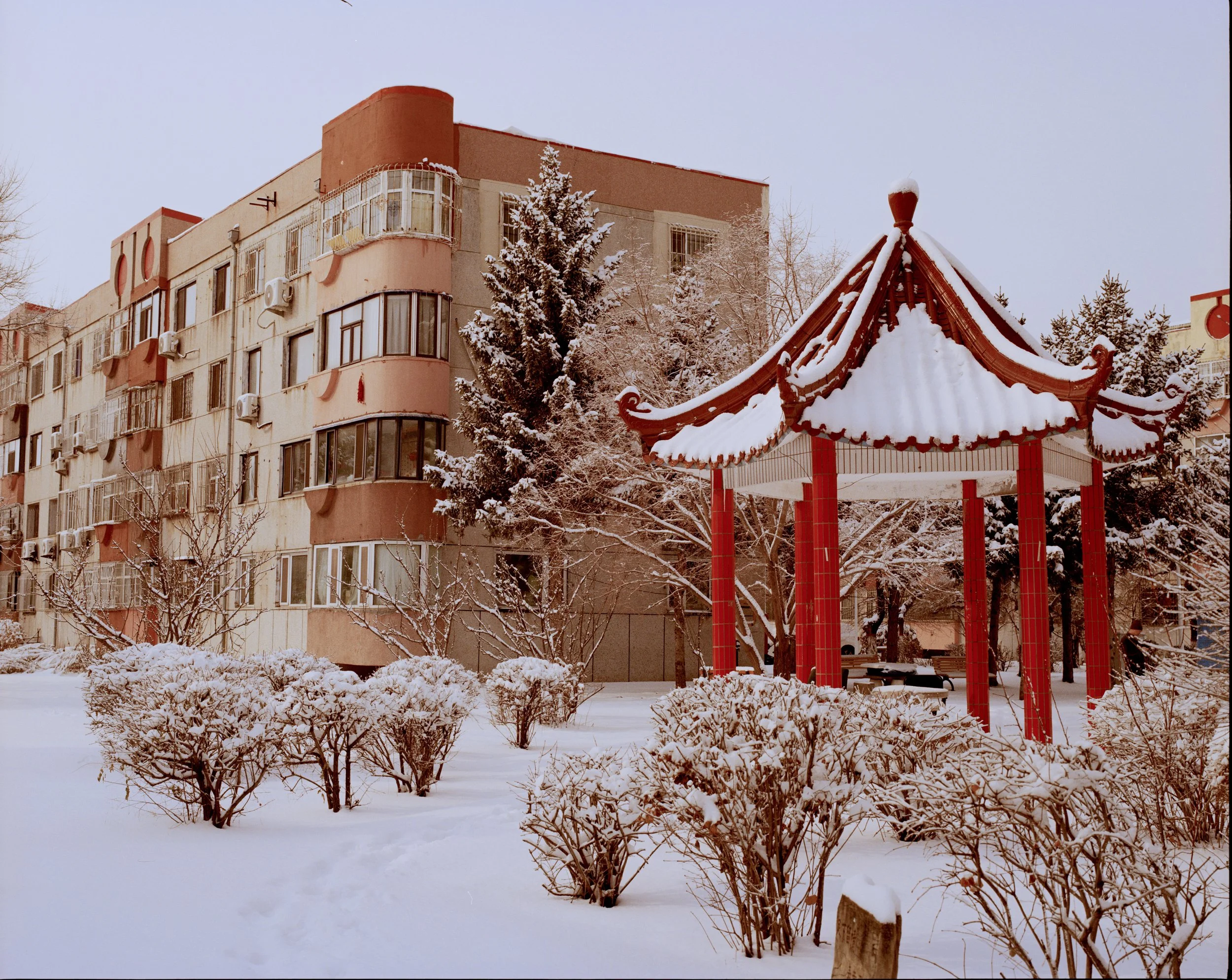 saertu2026009 拷贝.jpg