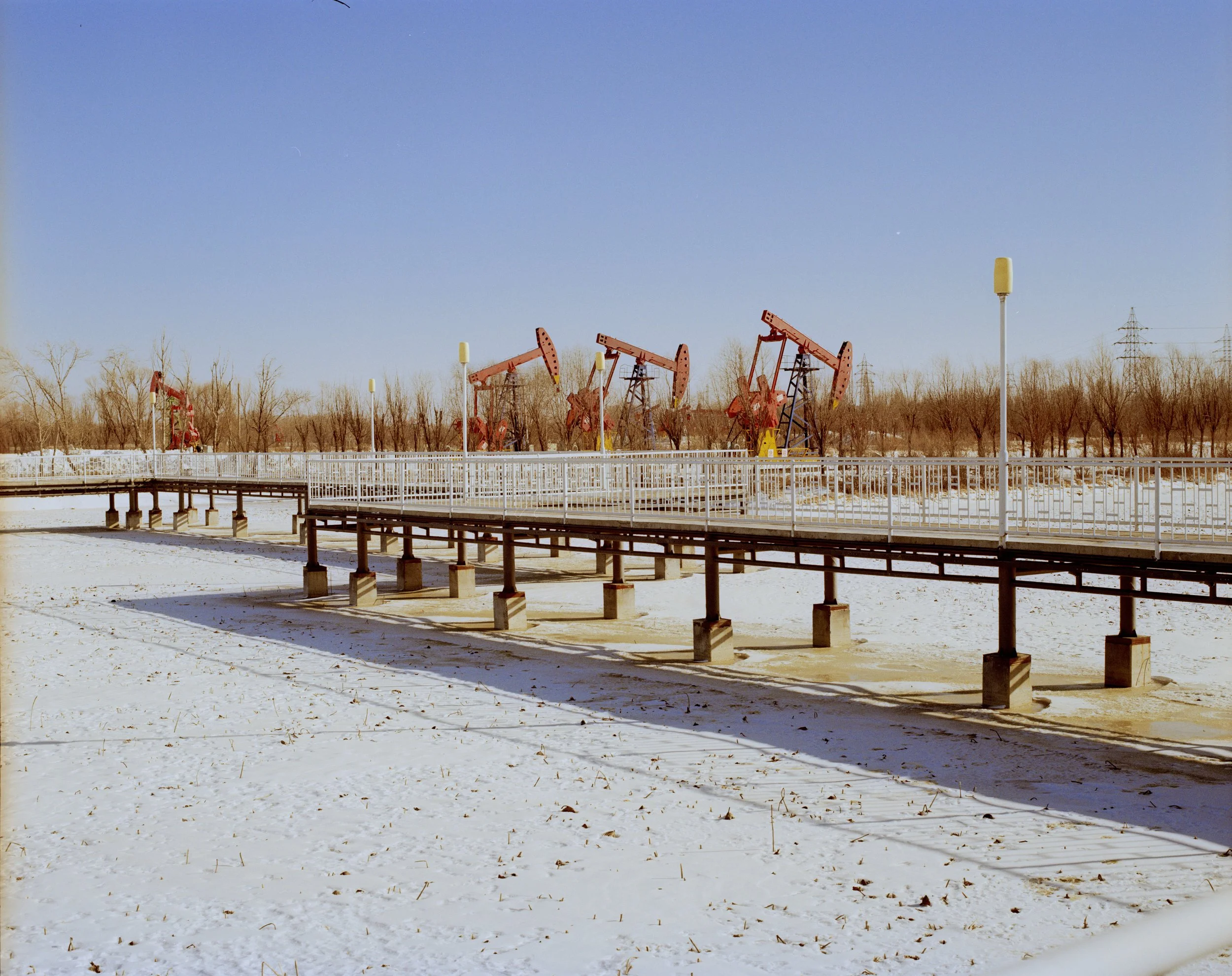 saertu2026002 拷贝.jpg