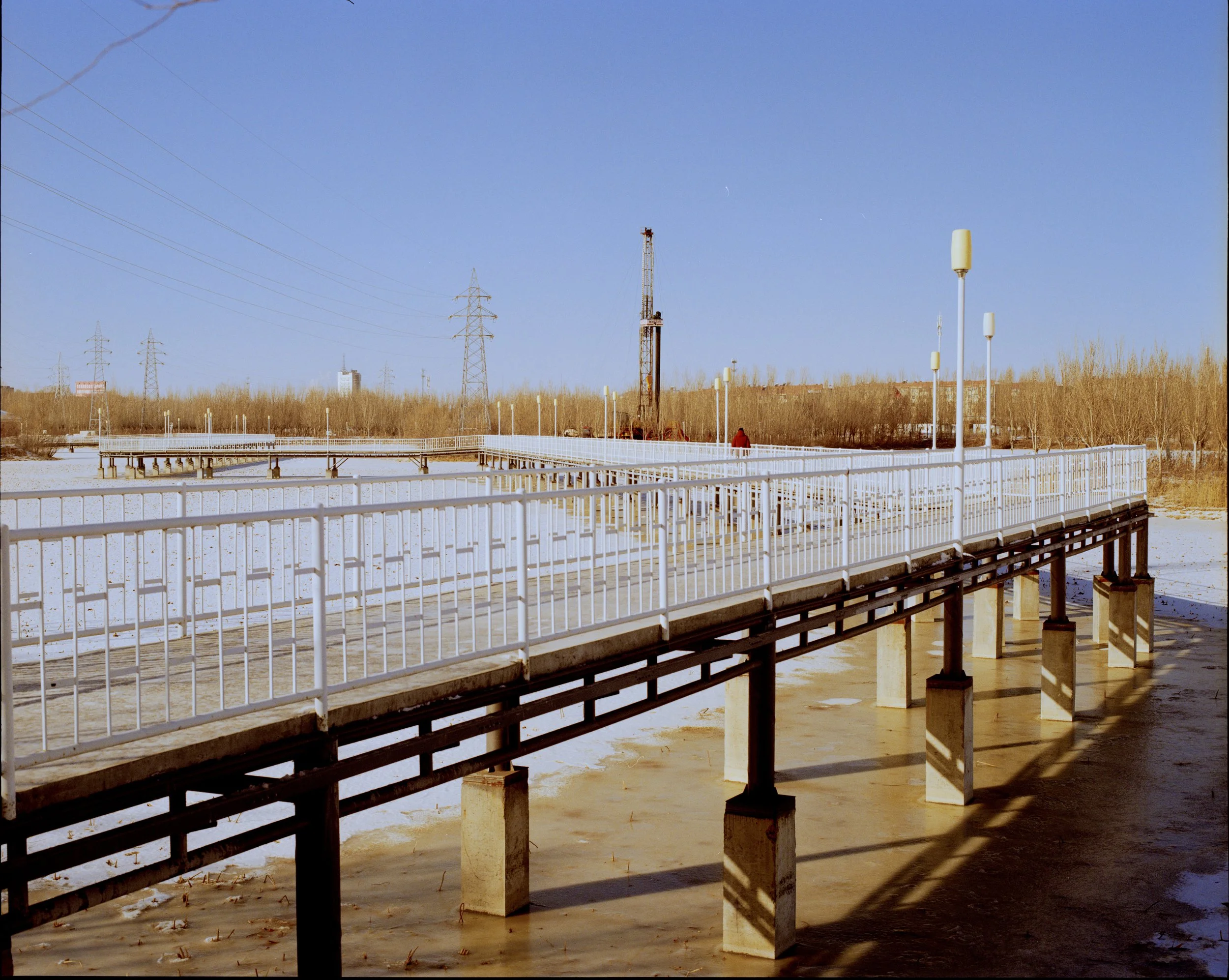 saertu2026003 拷贝.jpg