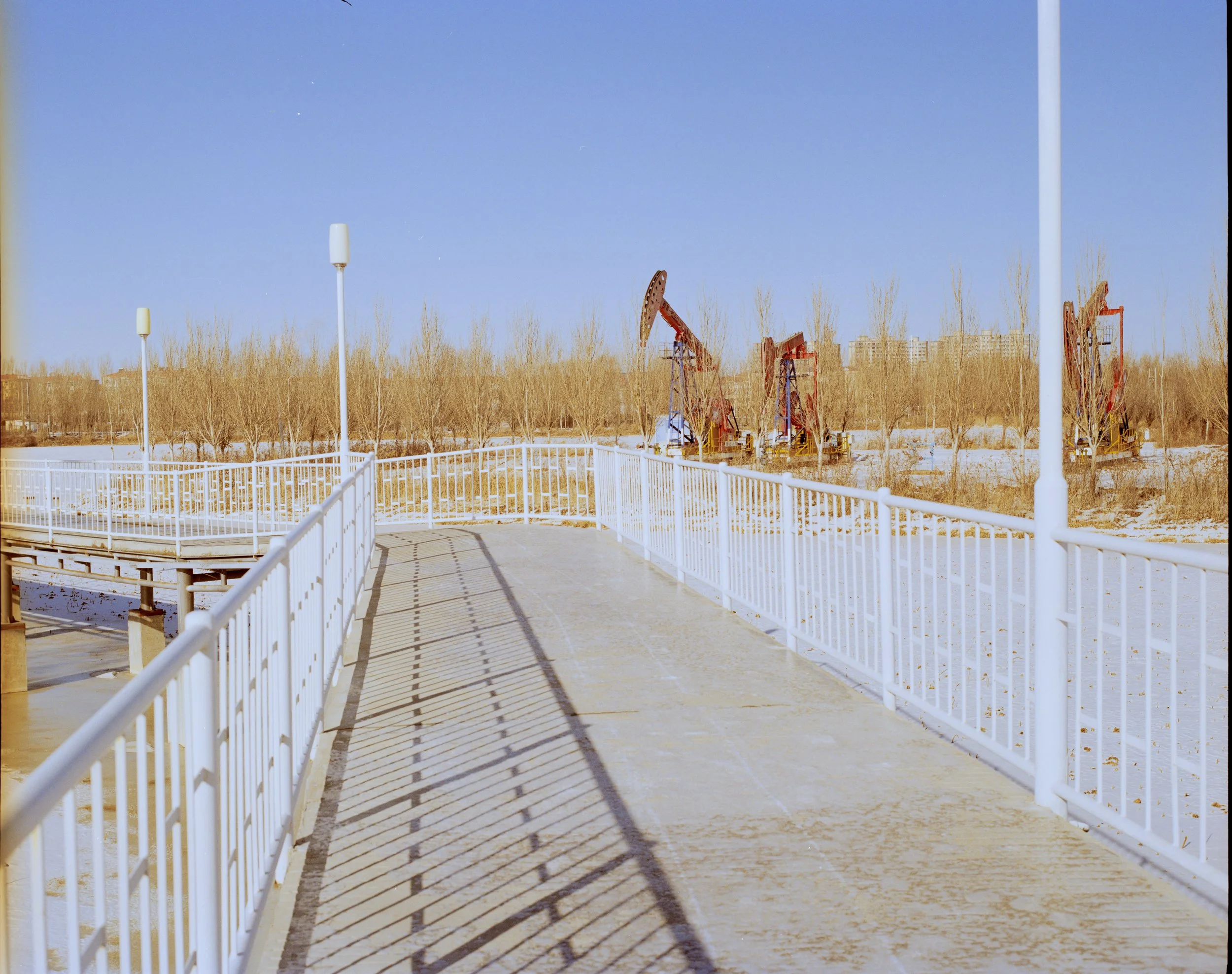 saertu2026004 拷贝.jpg