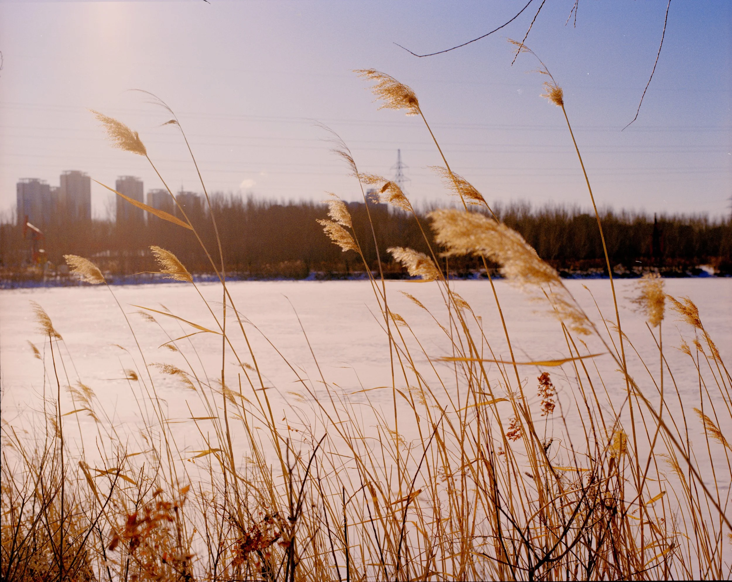 saertu2026001 拷贝.jpg