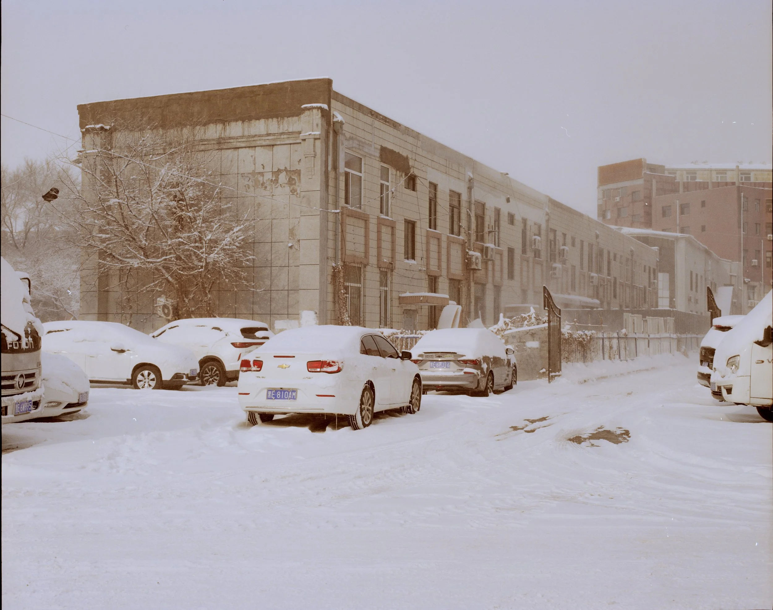 saertu2026006 拷贝.jpg