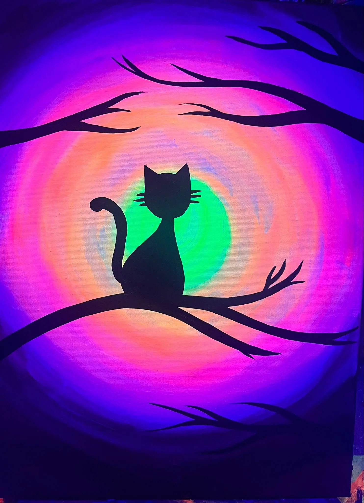Moonlit Cat