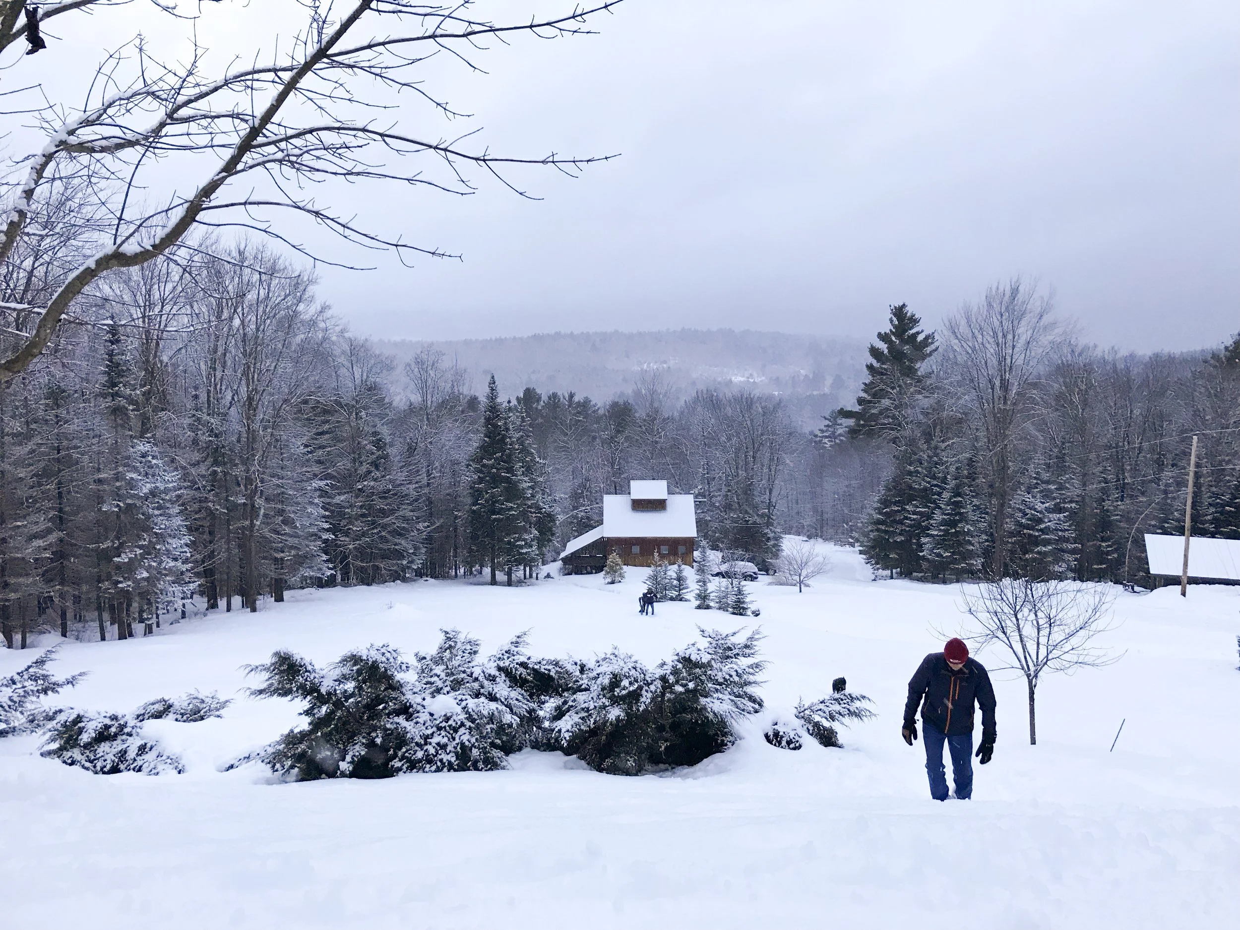 Cancer Sucks...and so does cold weather.