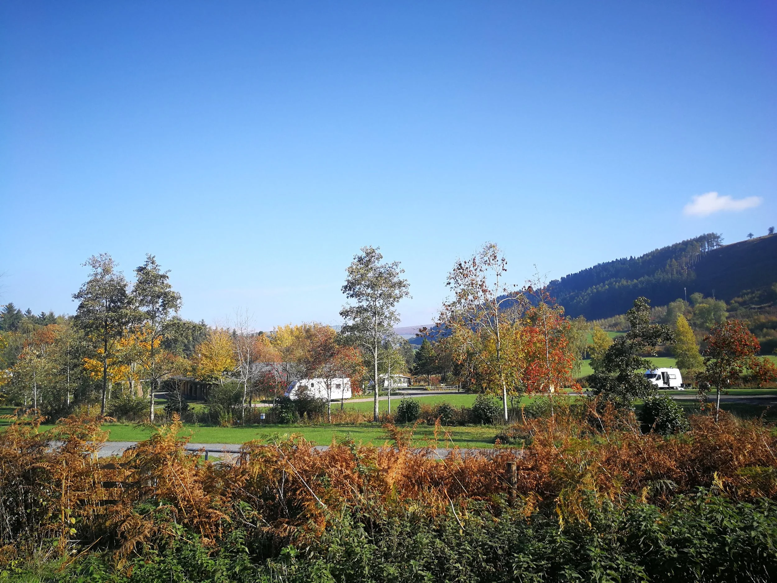 IMG_20181019_130944.jpg
