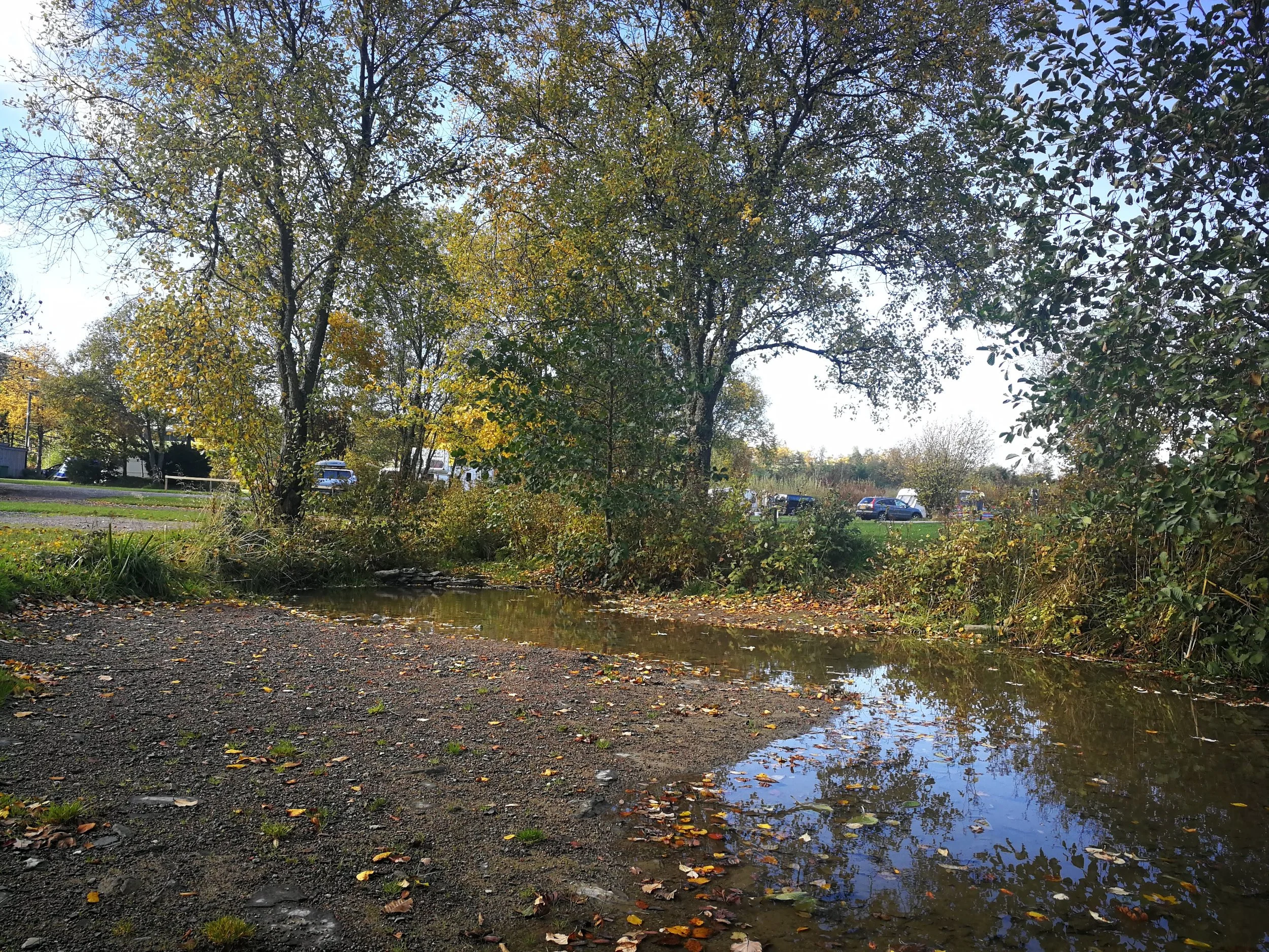 IMG_20181028_112532.jpg
