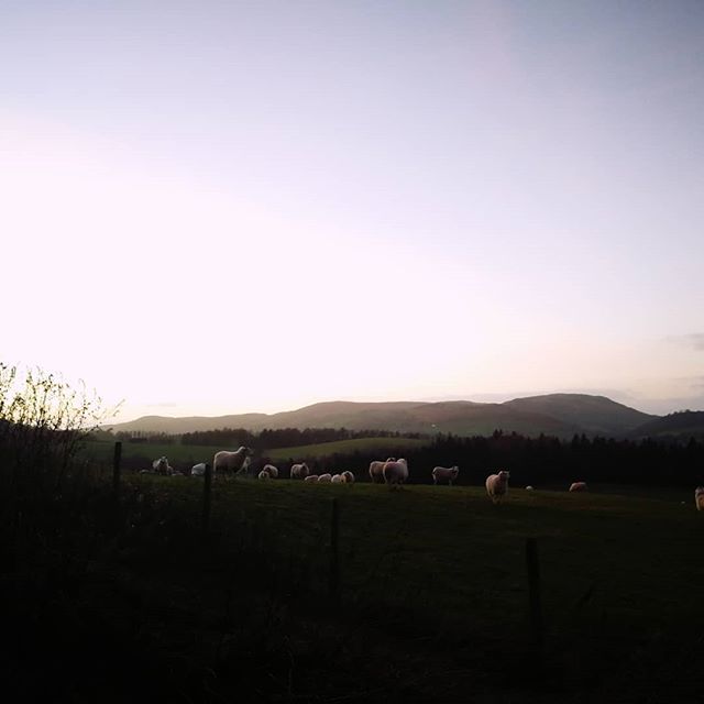 #ThisIsRadnorshire