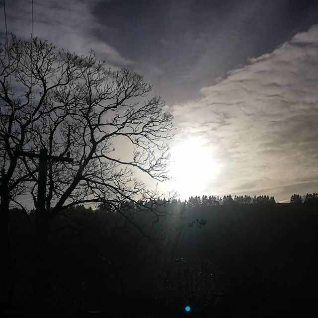 #WinterSun worshiping :)