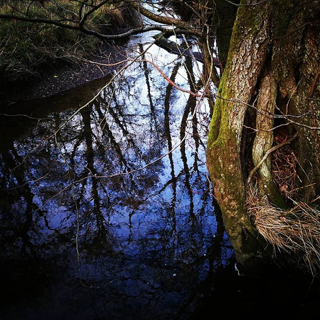 Winter #reflections #FforestFields