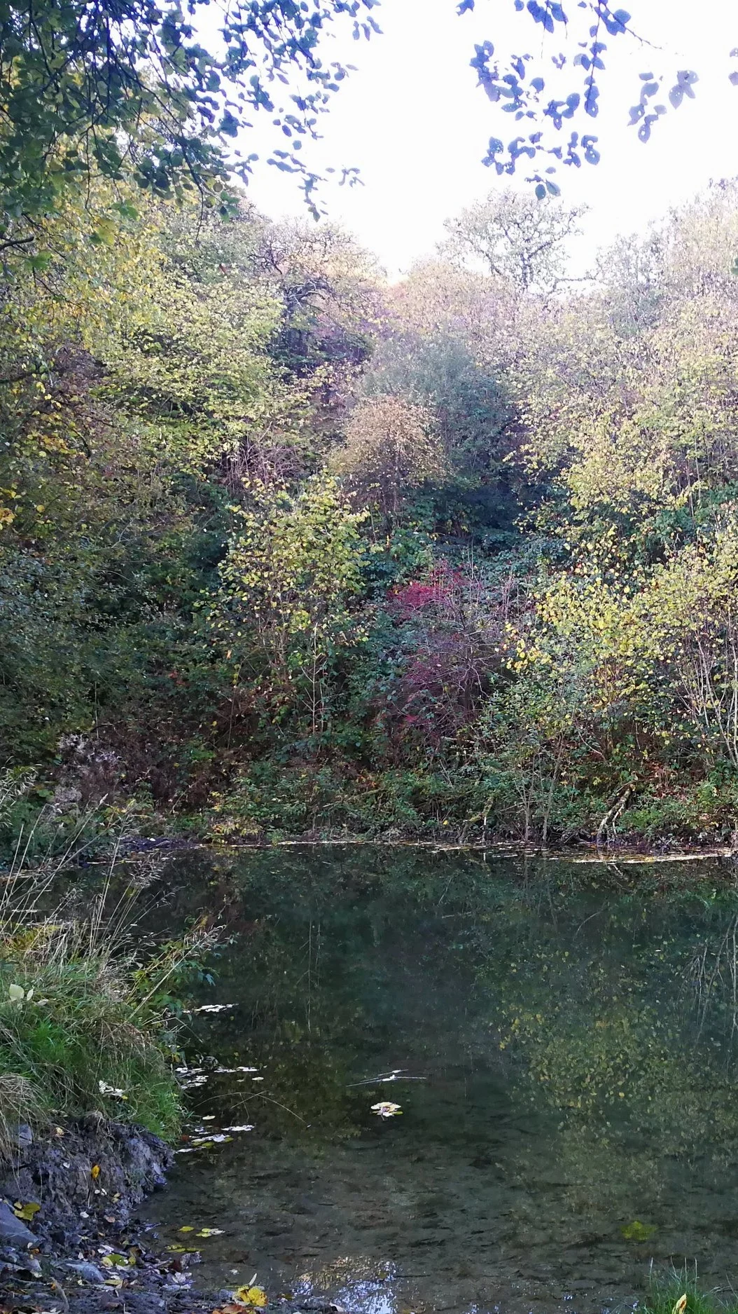 IMG_20181027_092719.jpg