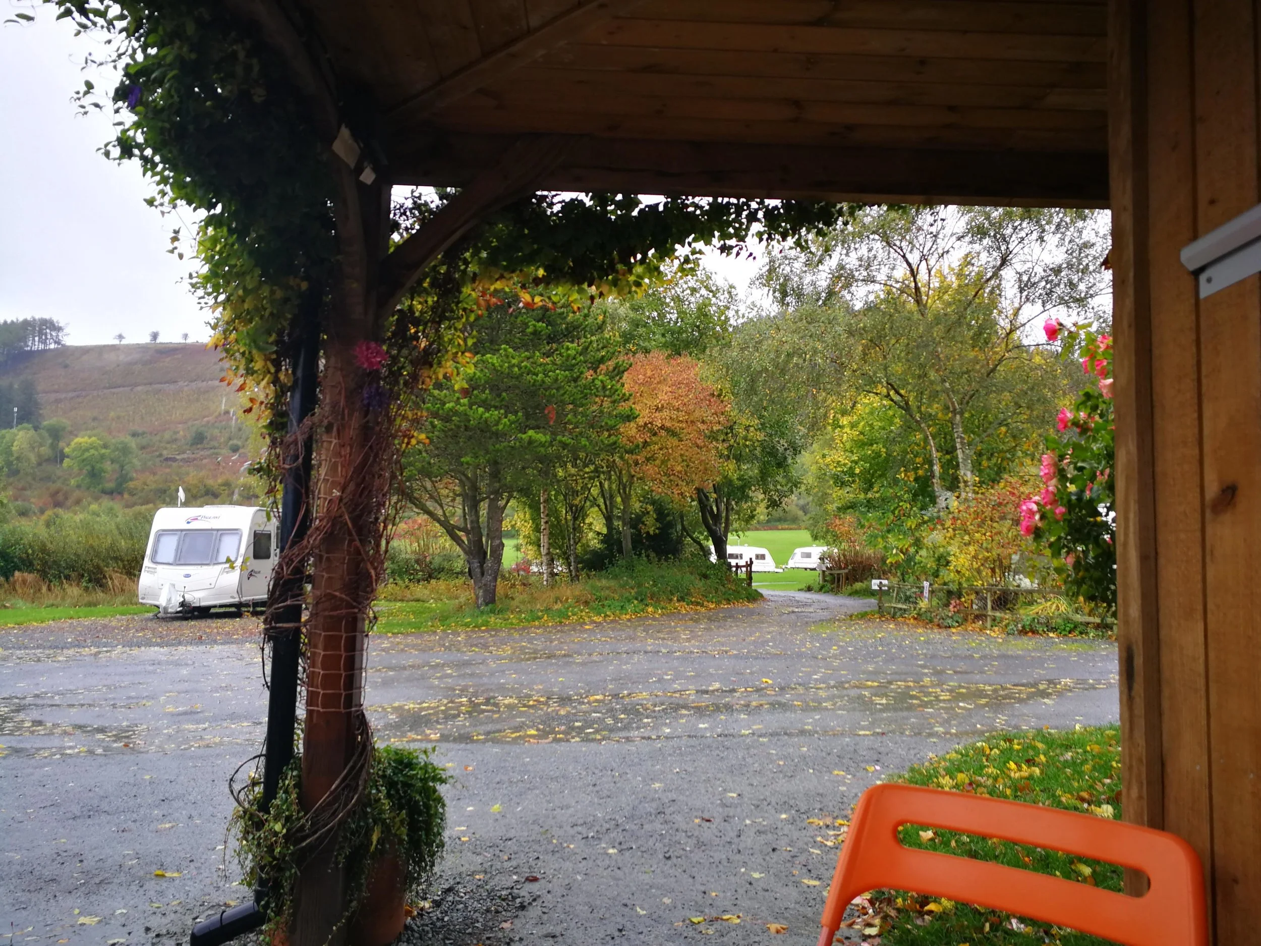 IMG_20181012_130355.jpg