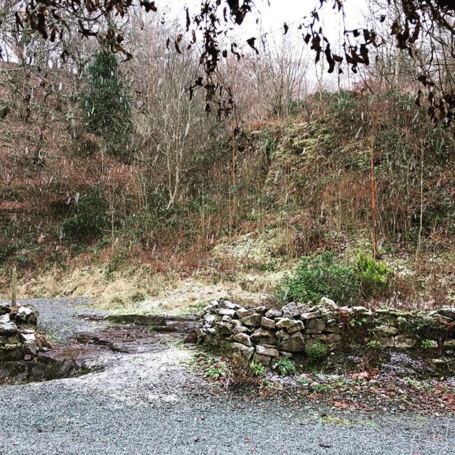 A welcome for new Ffynnonau guests today! Snow 😊 #Ffynnona #holidaycottage #logfire #offthebeatenpath #wakeuptomidwales #thisisradnorshire