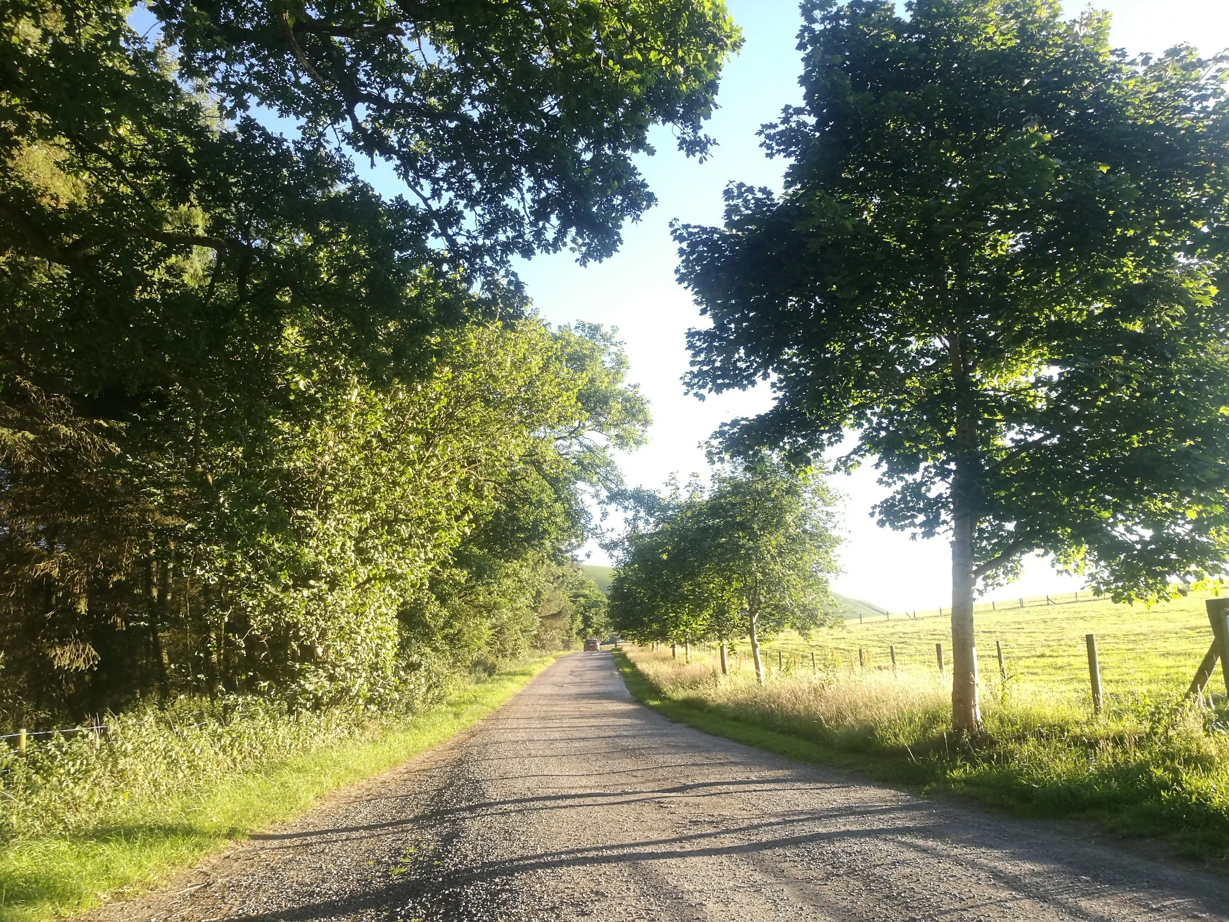 The track leading to the campsite