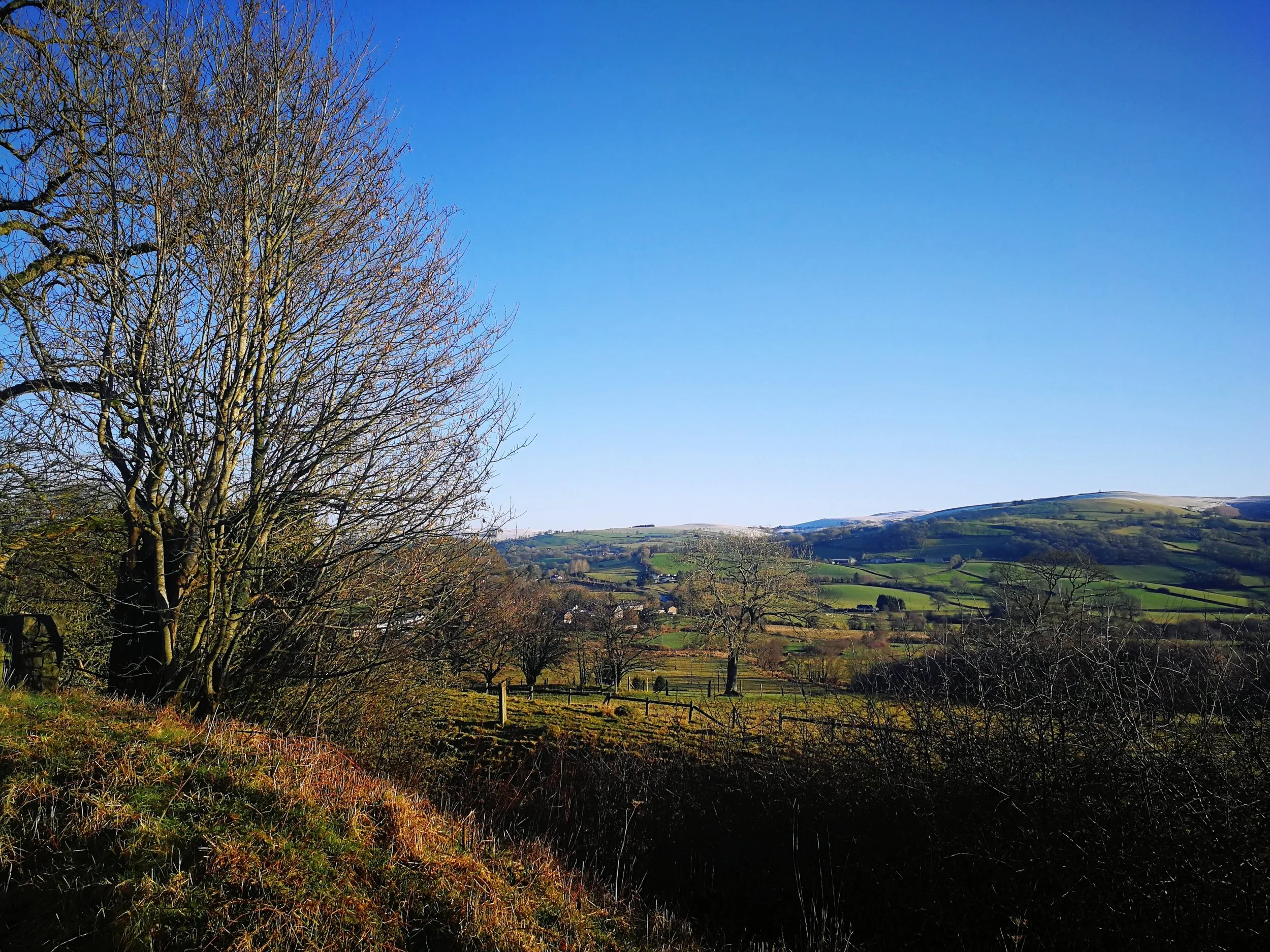 Views across Radnorshire