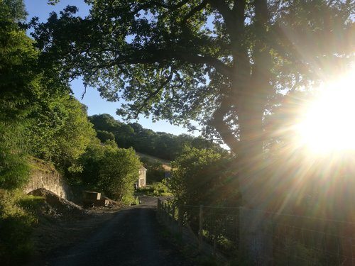 Facilities Fforest Fields.jpg