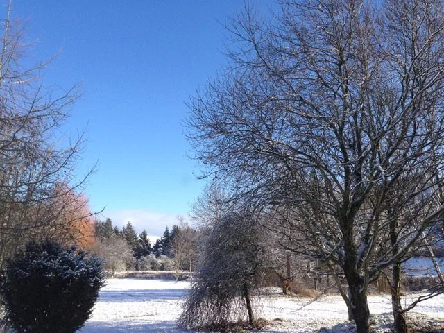 Christmas-Campsite (1).jpeg