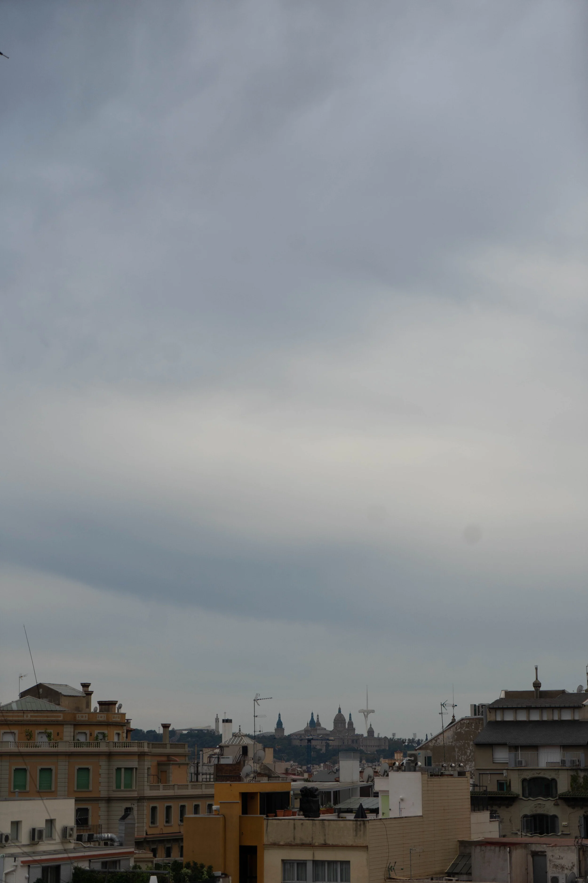 DSC01664.jpg