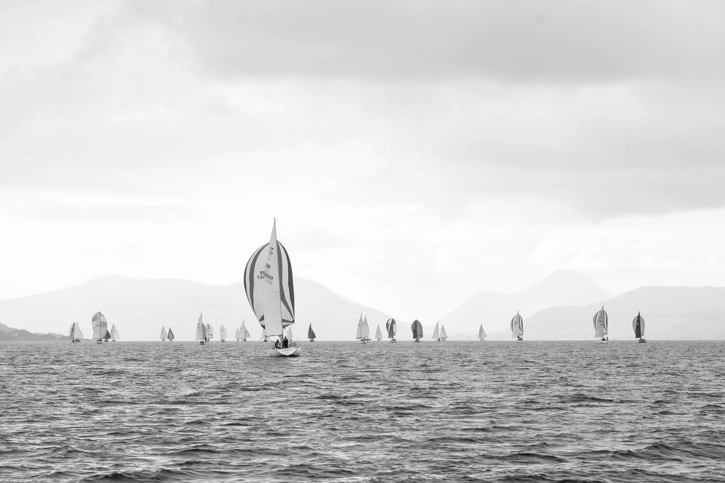 DSC08350.jpg