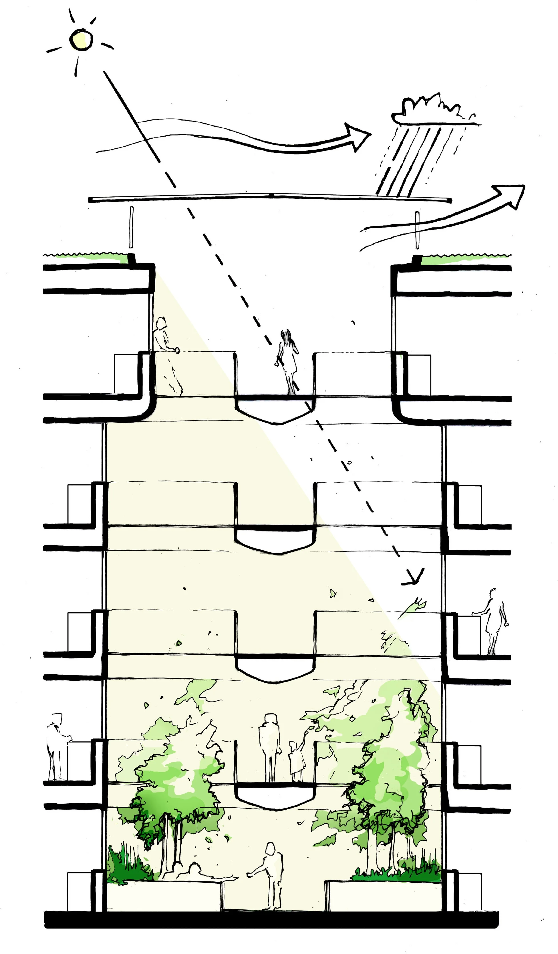 Courtyard Section_with arrows.jpg