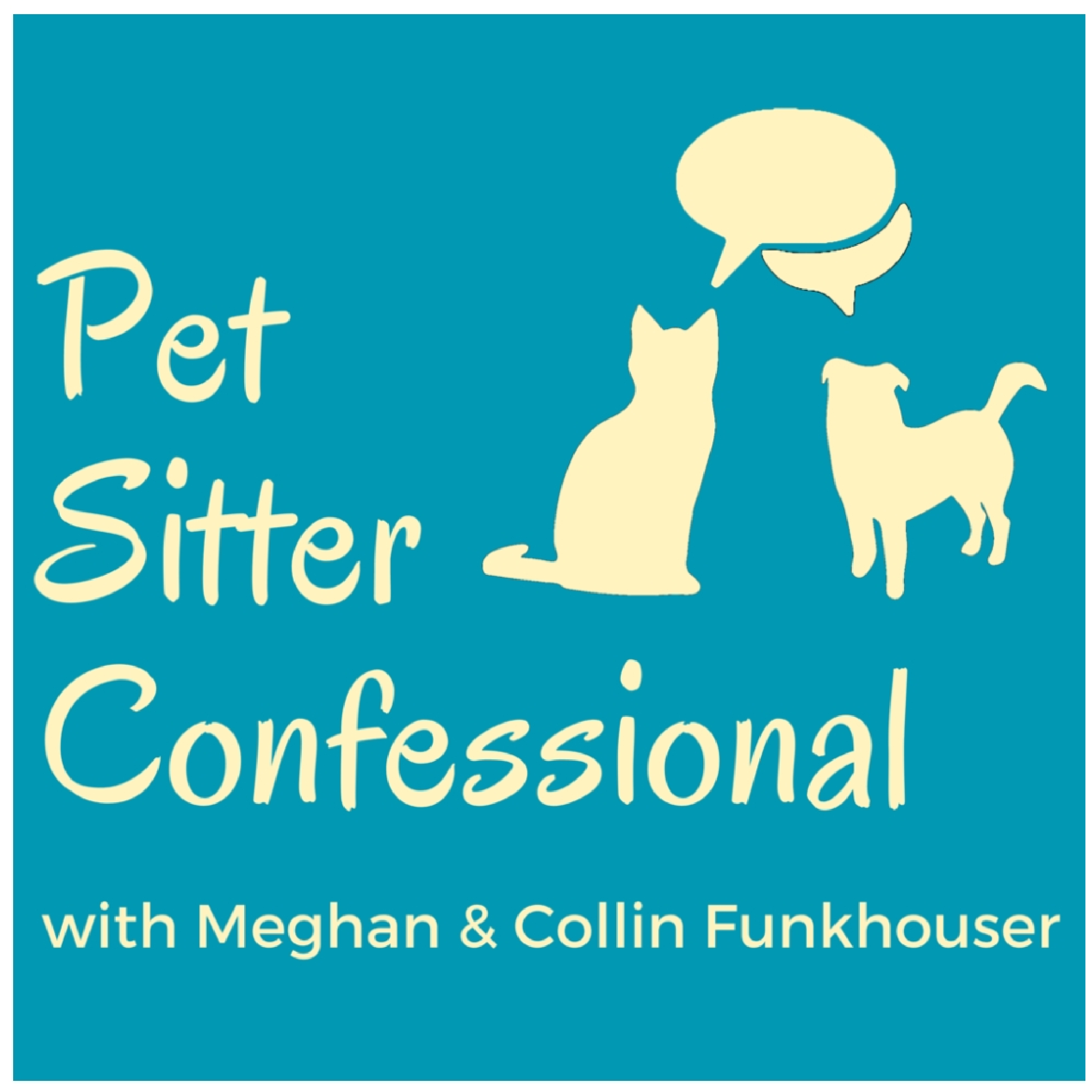 Cat Sitting London — Chatty Cats Care