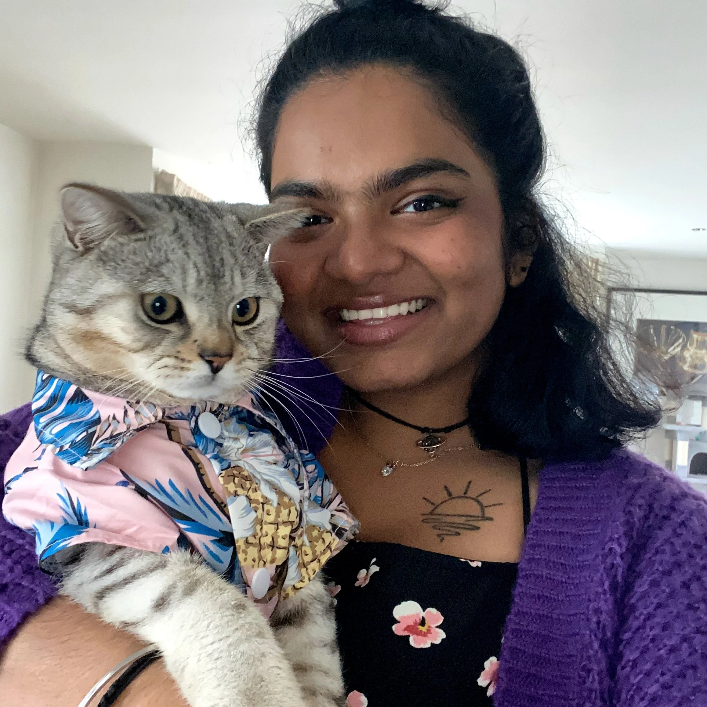 Cat Sitting London — Chatty Cats Care