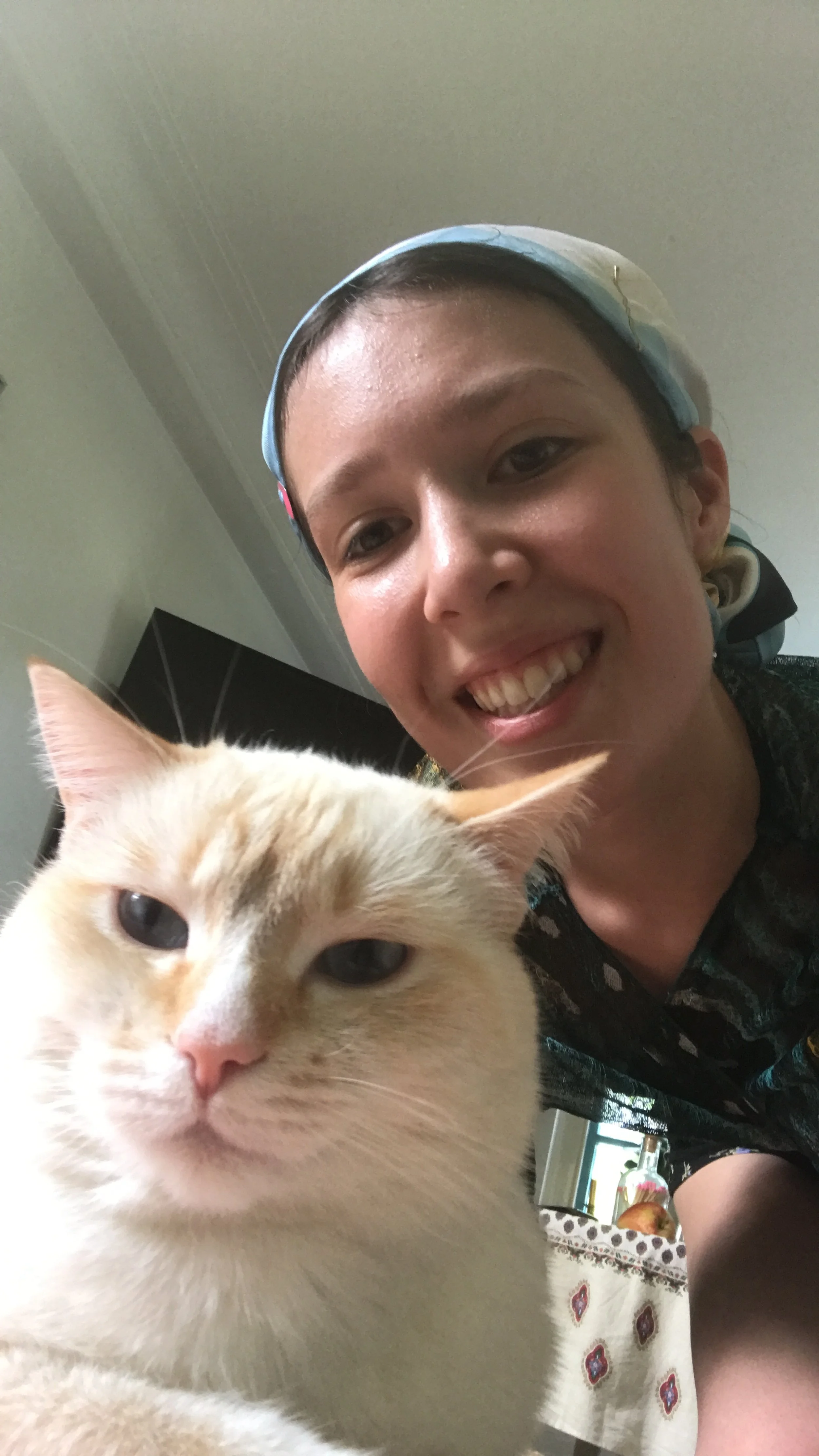 Cat Sitting London — Chatty Cats Care