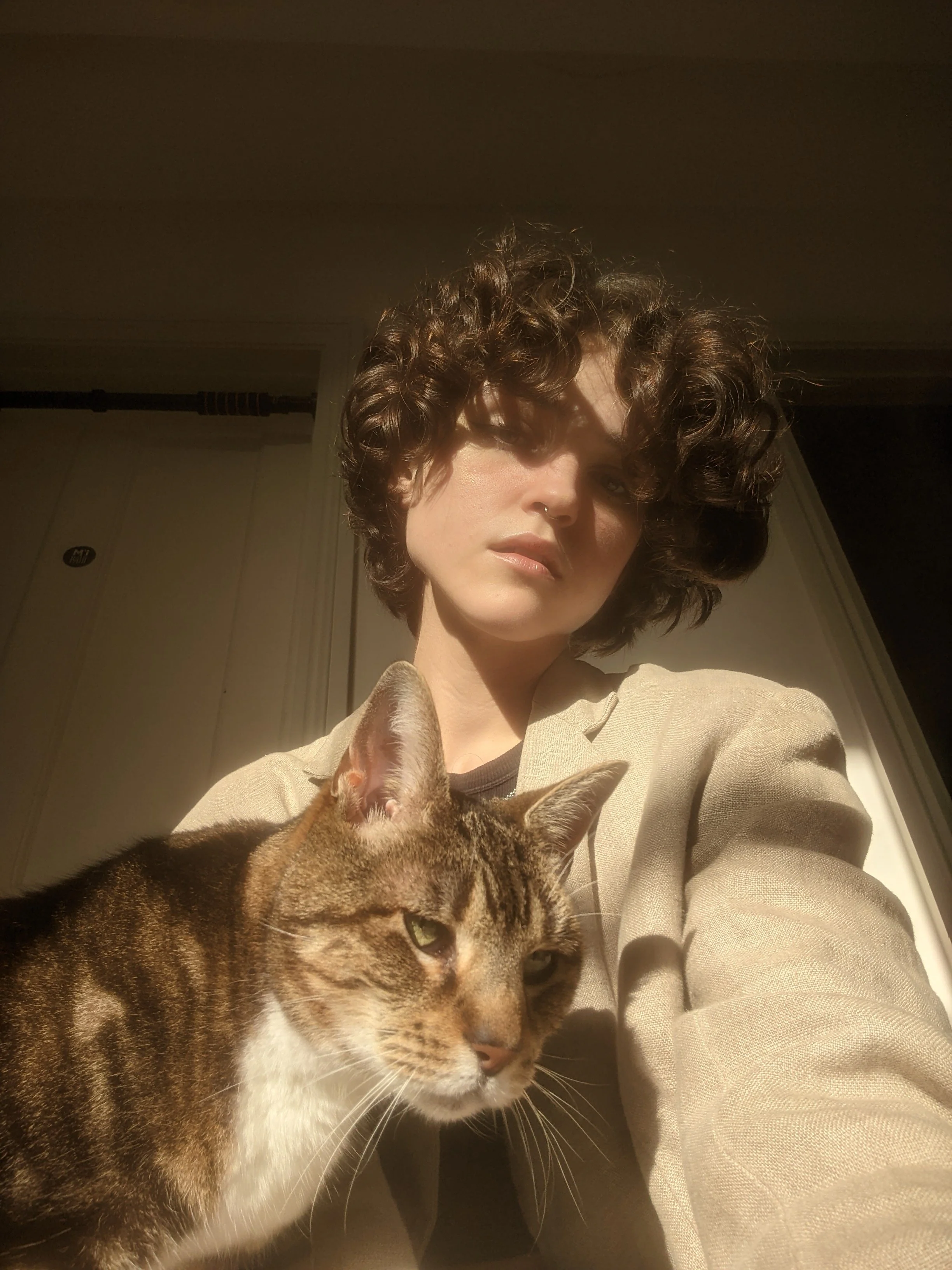 Cat Sitting London — Chatty Cats Care