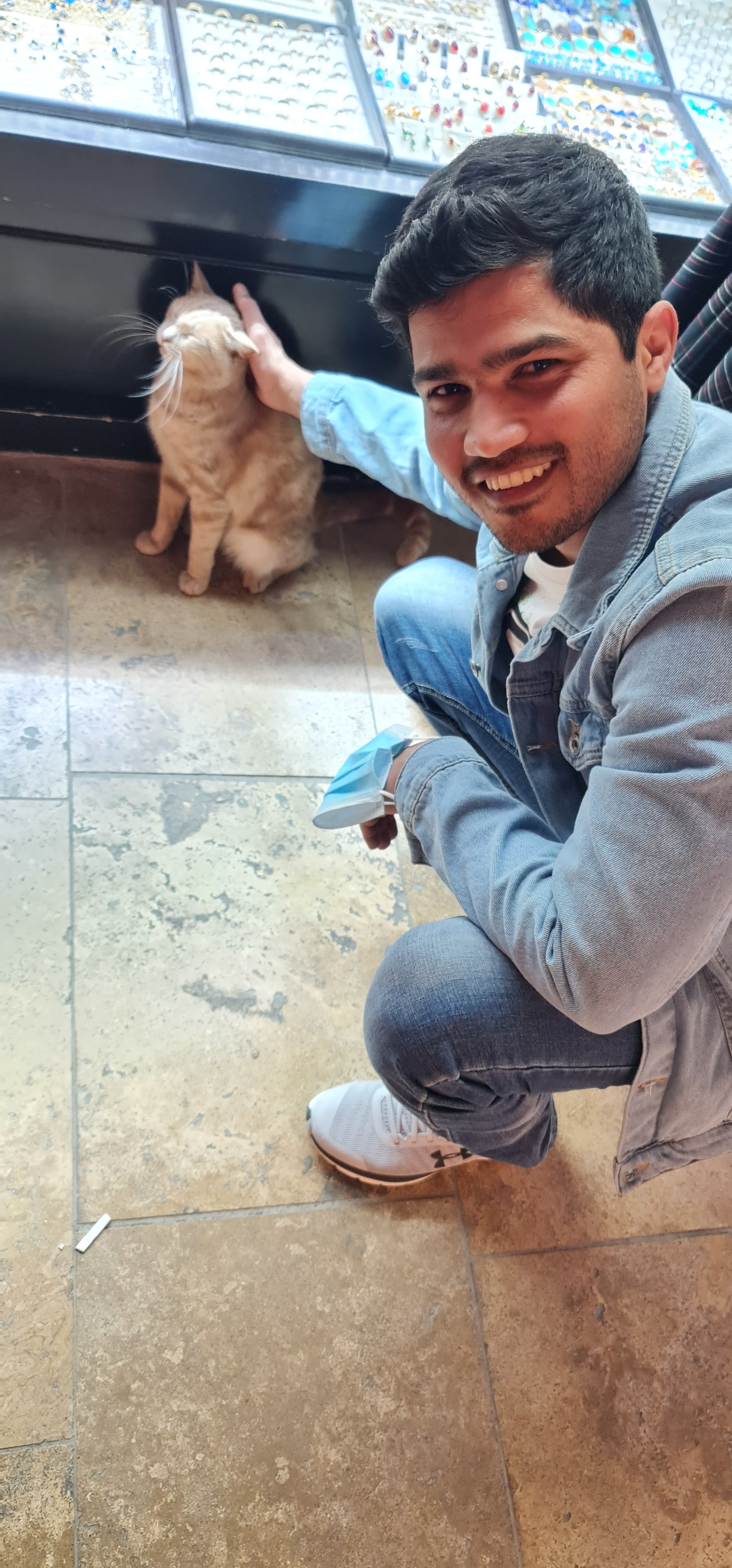 Cat Sitting London — Chatty Cats Care