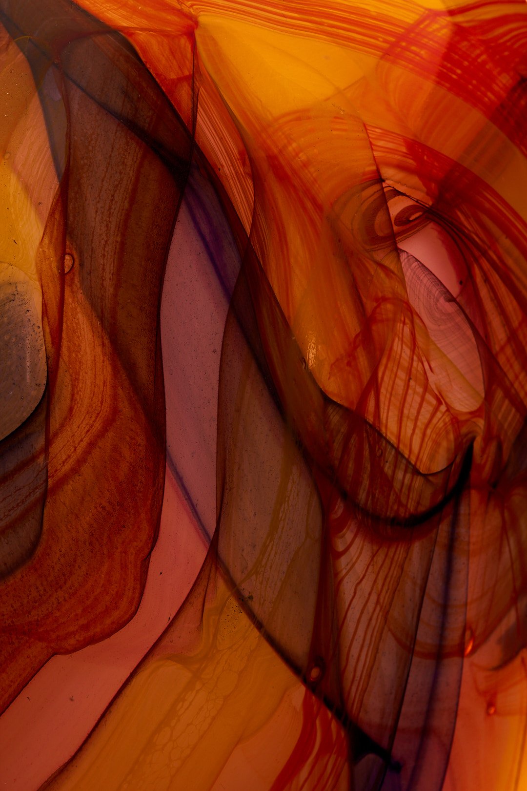 Elysia0015.jpg