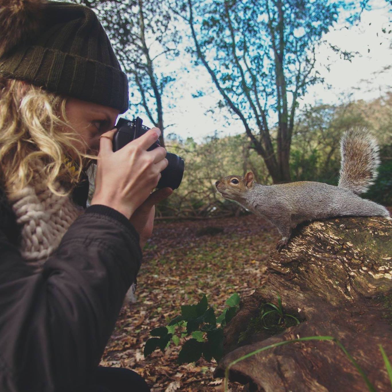 biz_squirrel.jpg