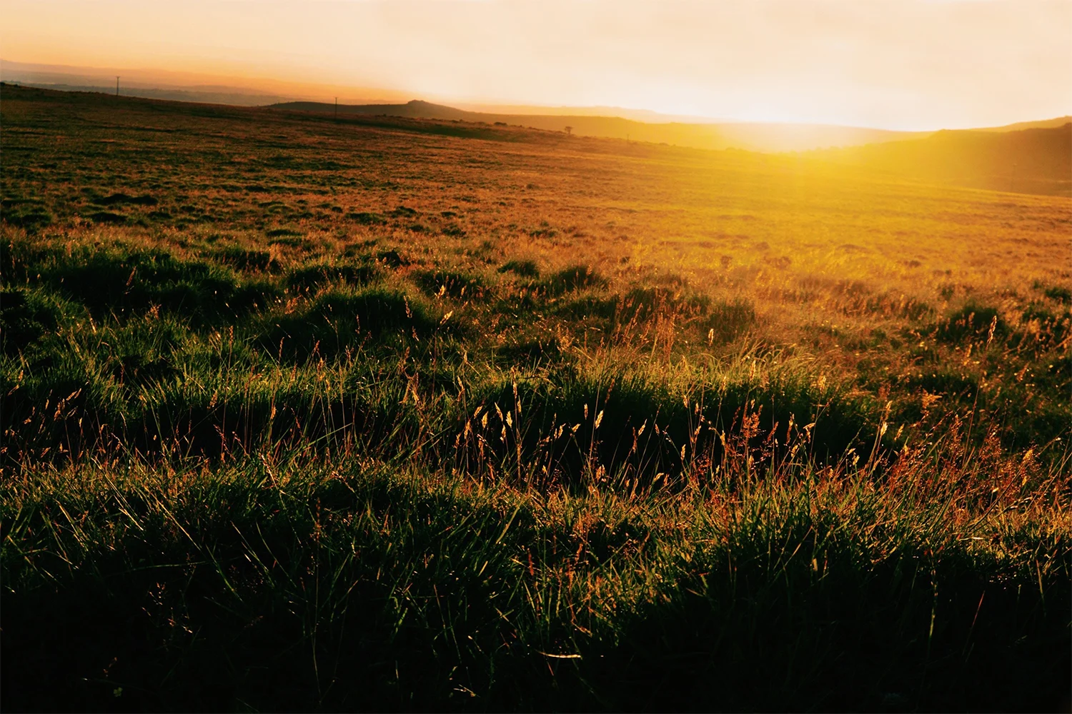 kate_gibson_DartmoorSunset_small.jpg