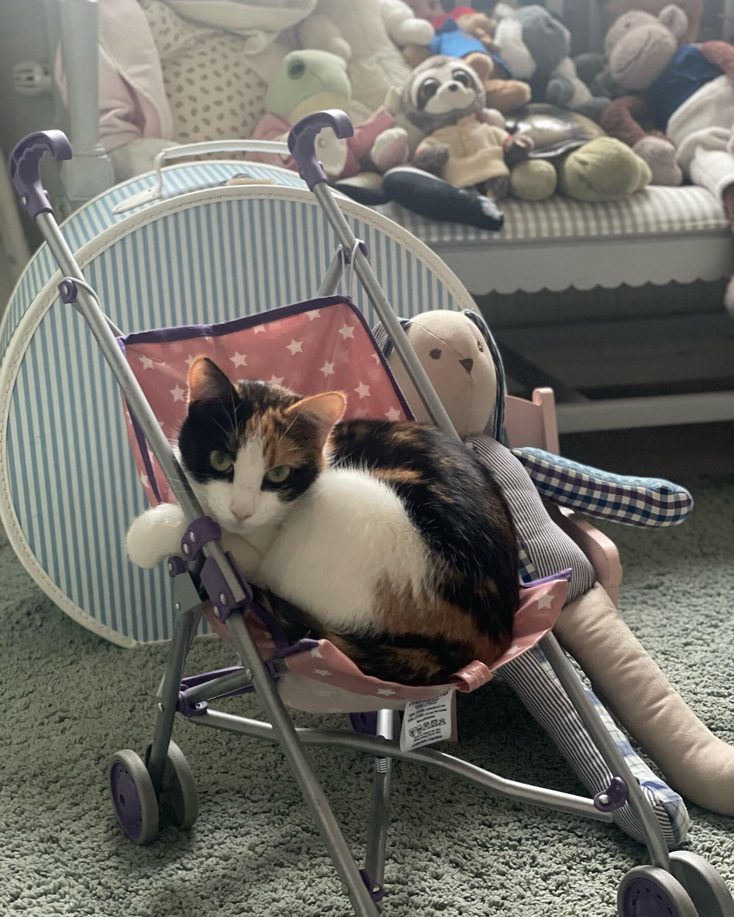 Barnen sover &ouml;ver hos kompisar och Semlan v&auml;ntar och l&auml;ngtar efter dem och lek. ❤️