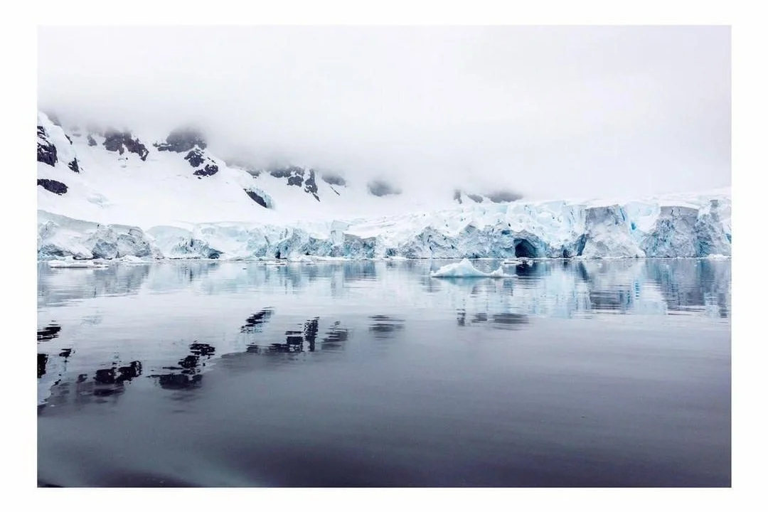 Antarctic nature Project We Travel.jpg