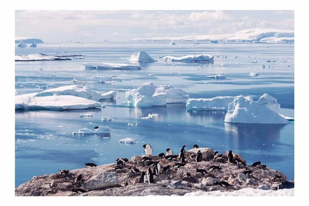 Antarctica Project We Travel.jpg