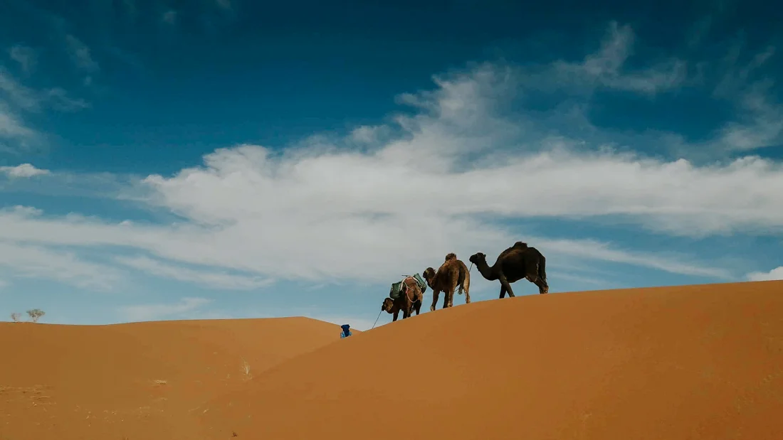 Marocco trekking Project We Travel (3).jpg
