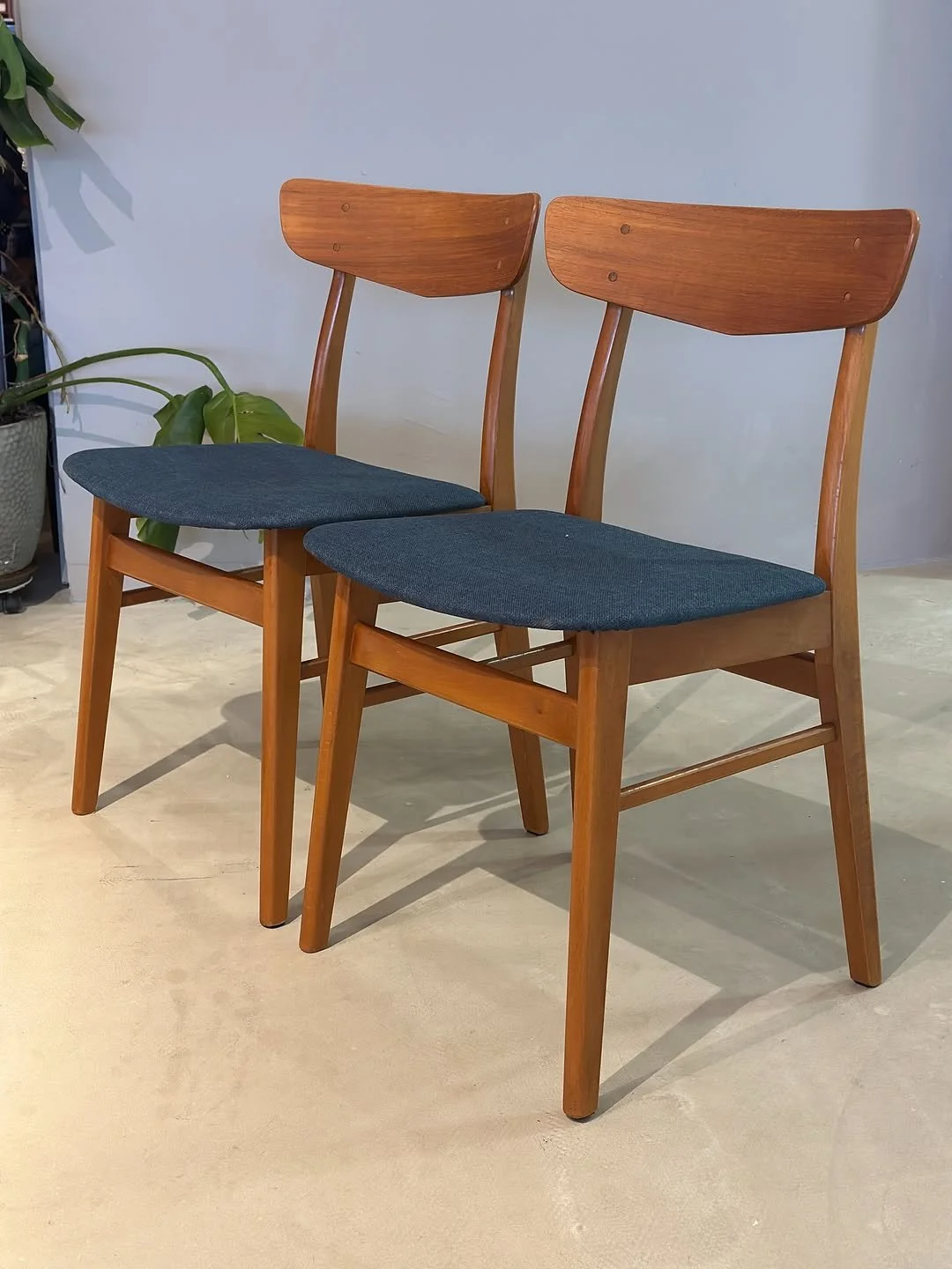 654976786_18177356911377925_6749655528032902854_n.jpg