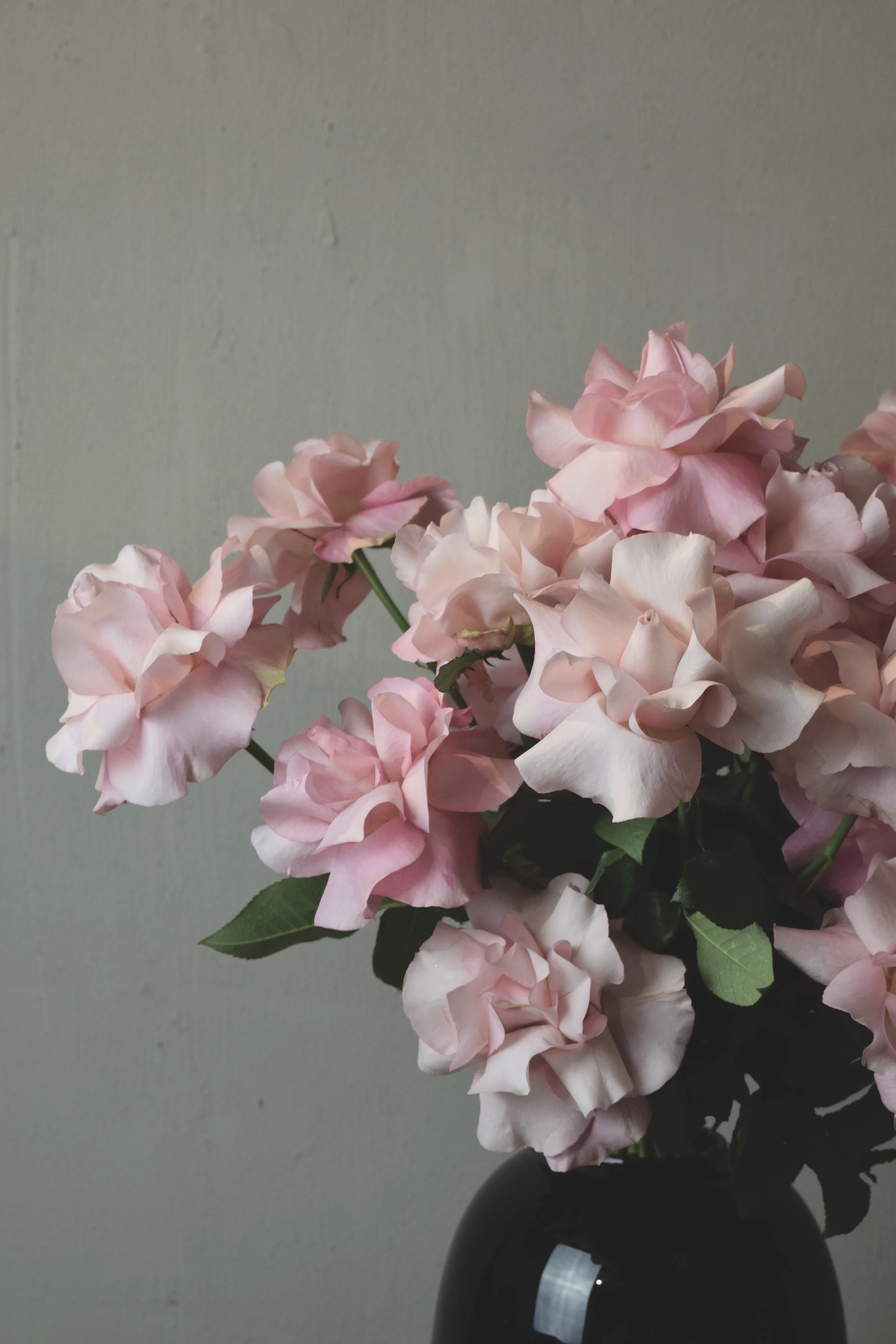 secret garden -1.jpg