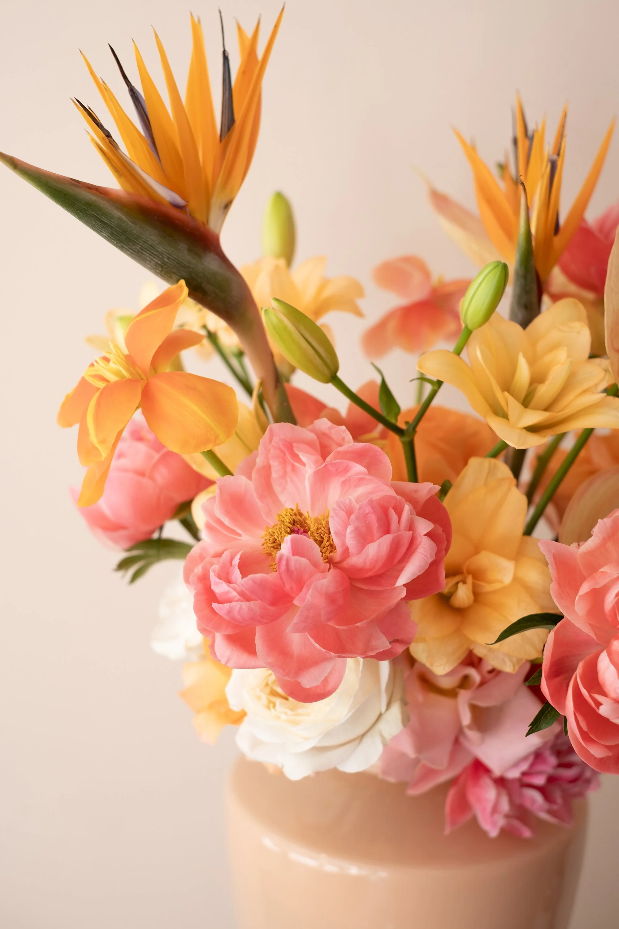 DSCF1952.jpg - web.jpg