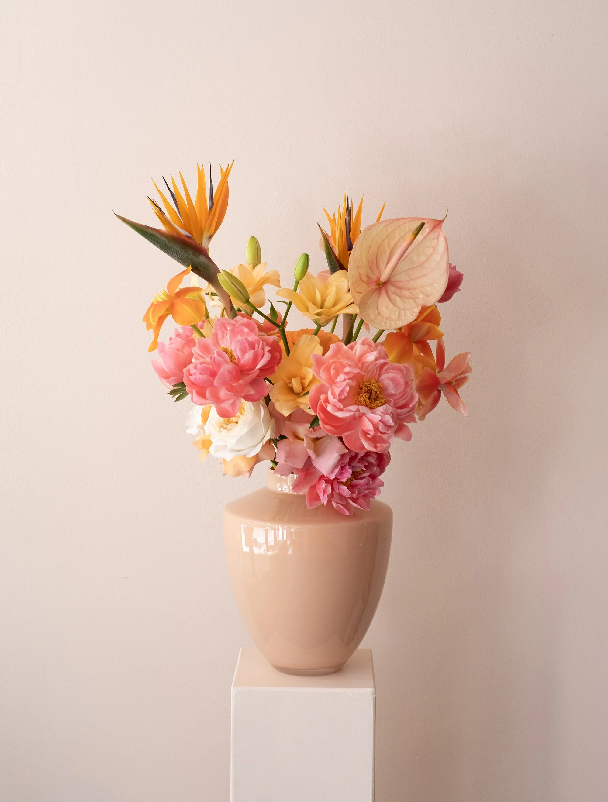 DSCF1944.jpg web.jpg