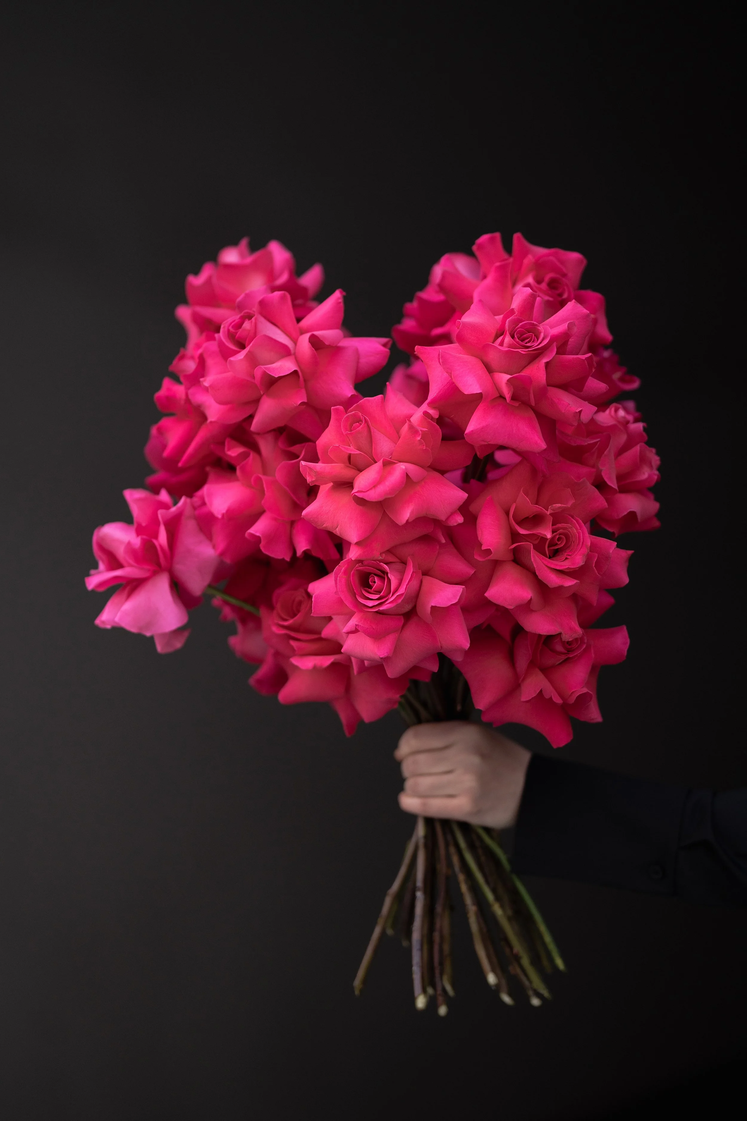 THP07794.jpg - web.jpg