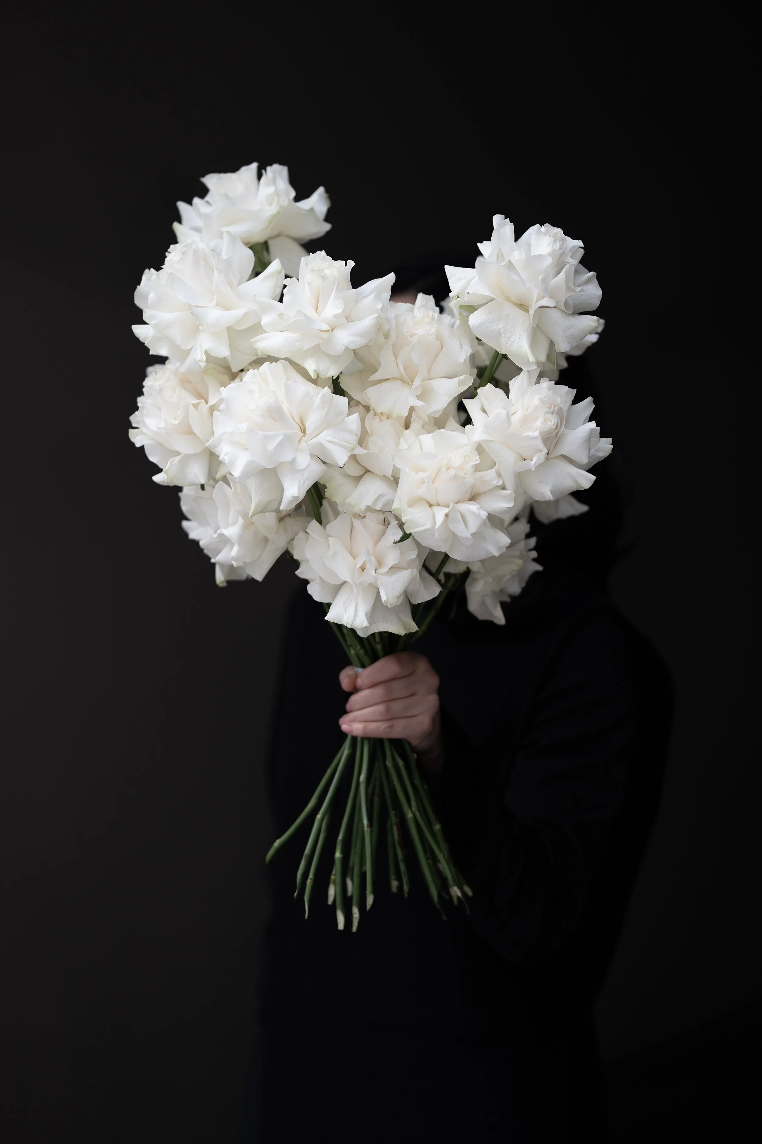 THP07759.jpg -web.jpg