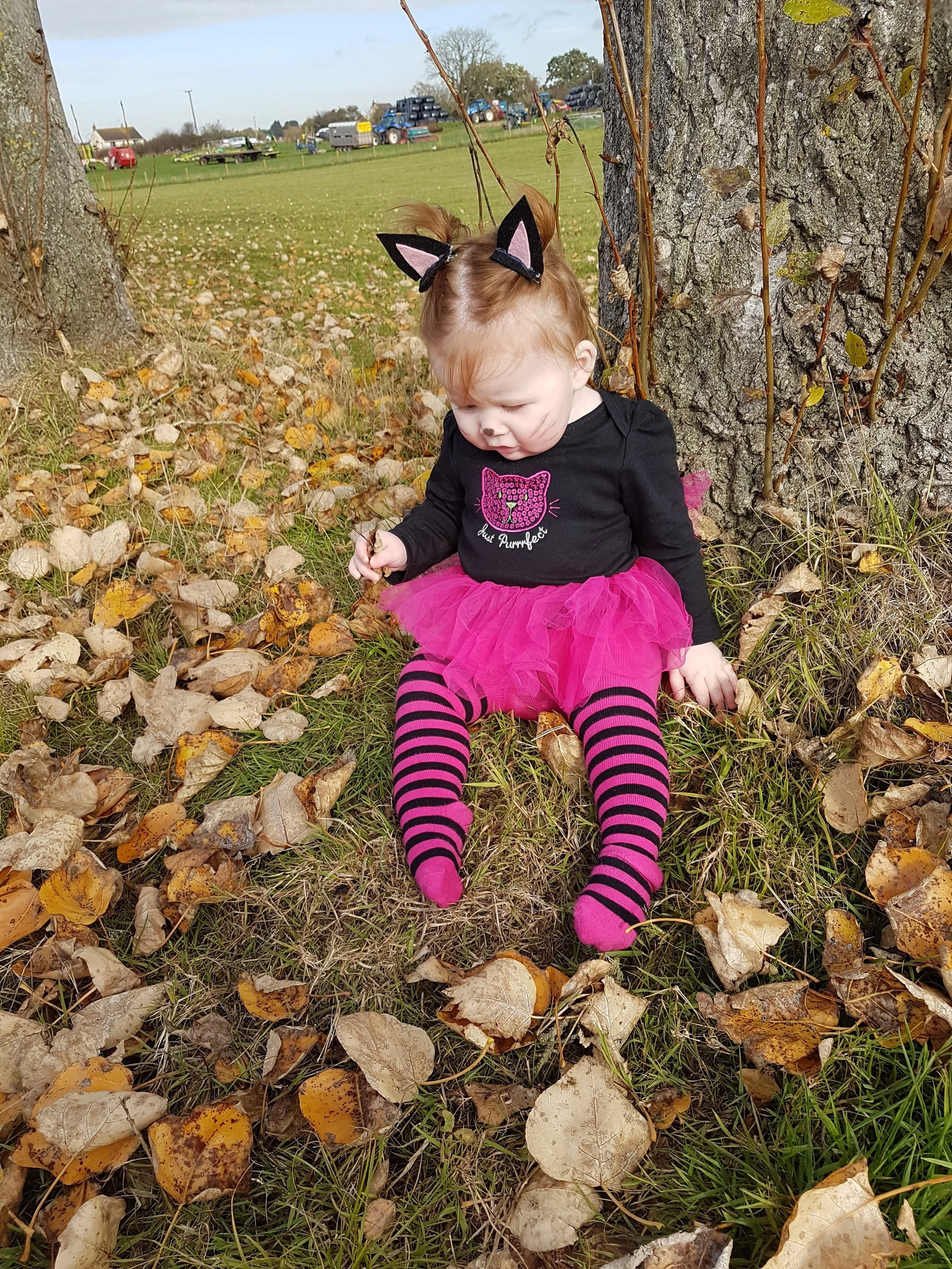 20181031_120910.jpg