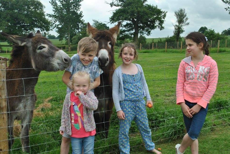 Having fun with the animals in over 40 acres of parkland at Raglan Farm Park