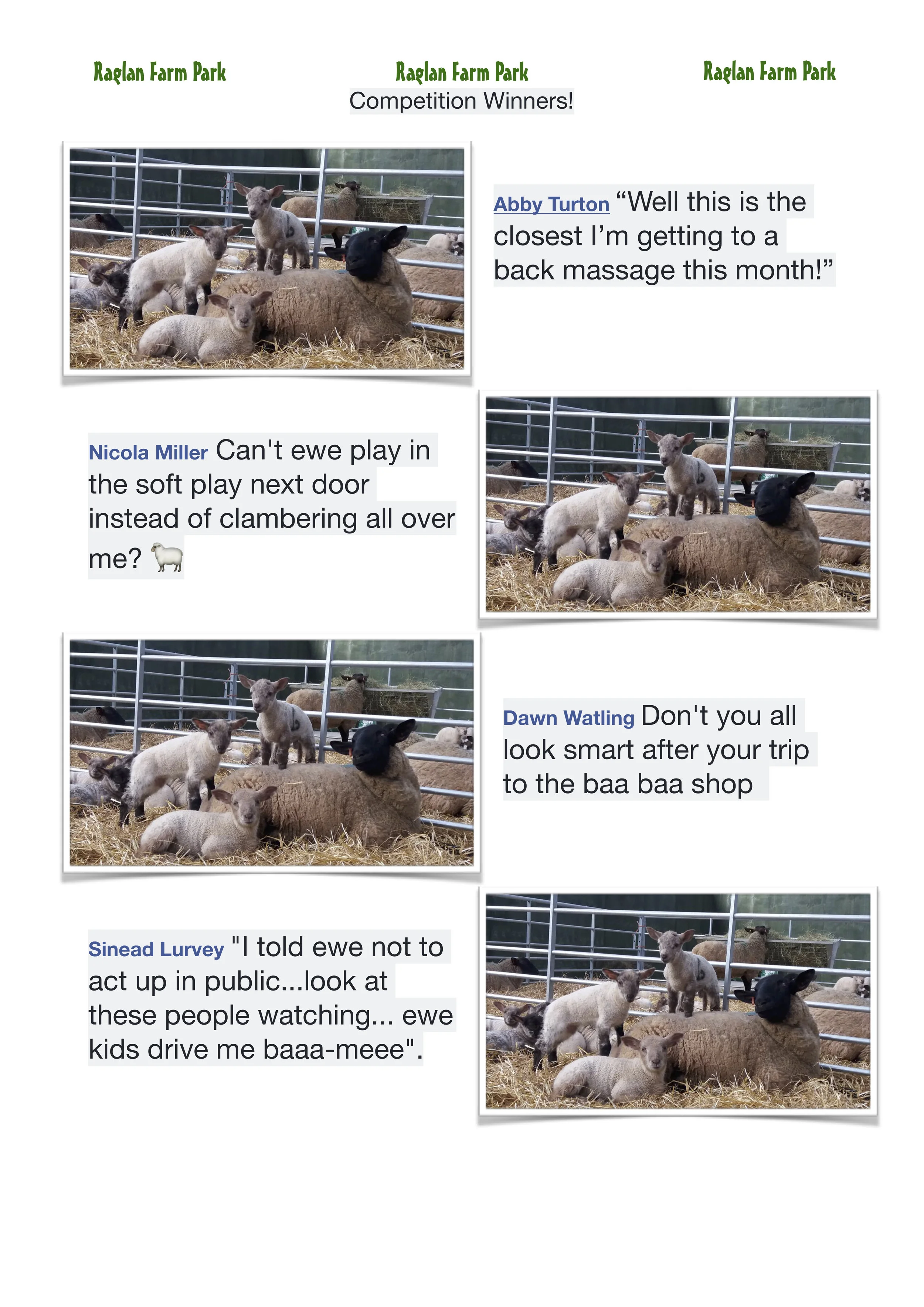 Our Facebook page winners!