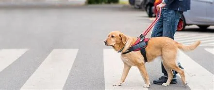 Face Painting today!