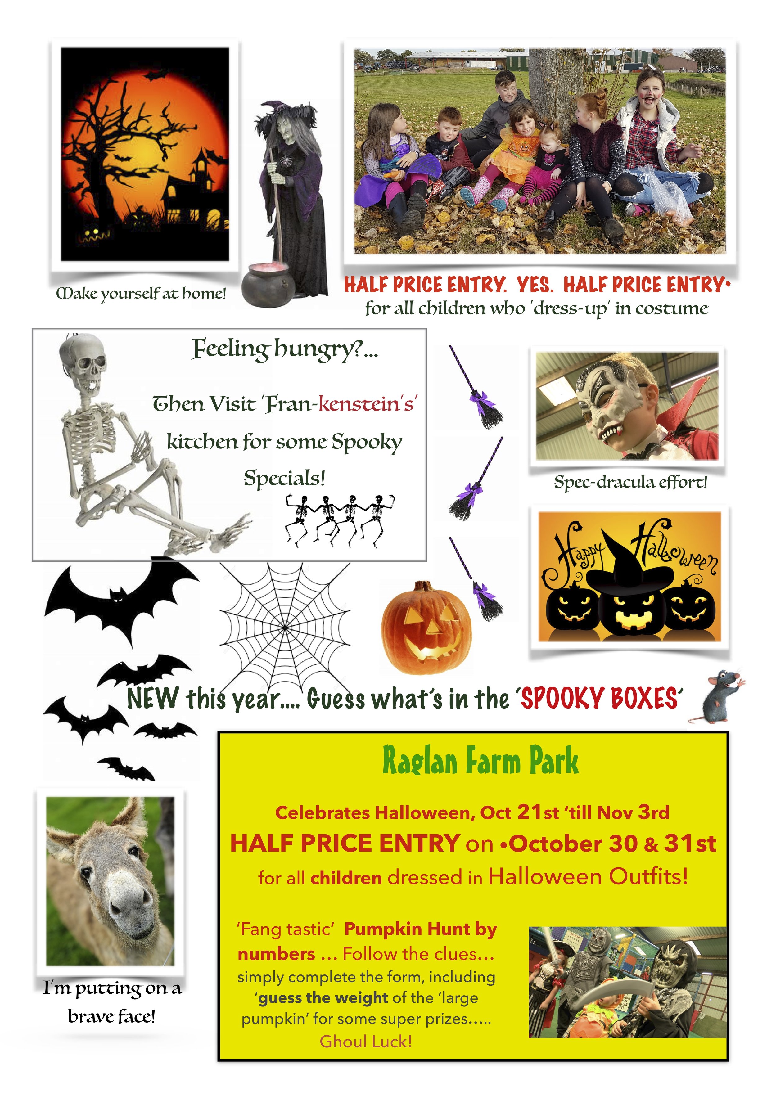 HALLOWEEN SPECIAL