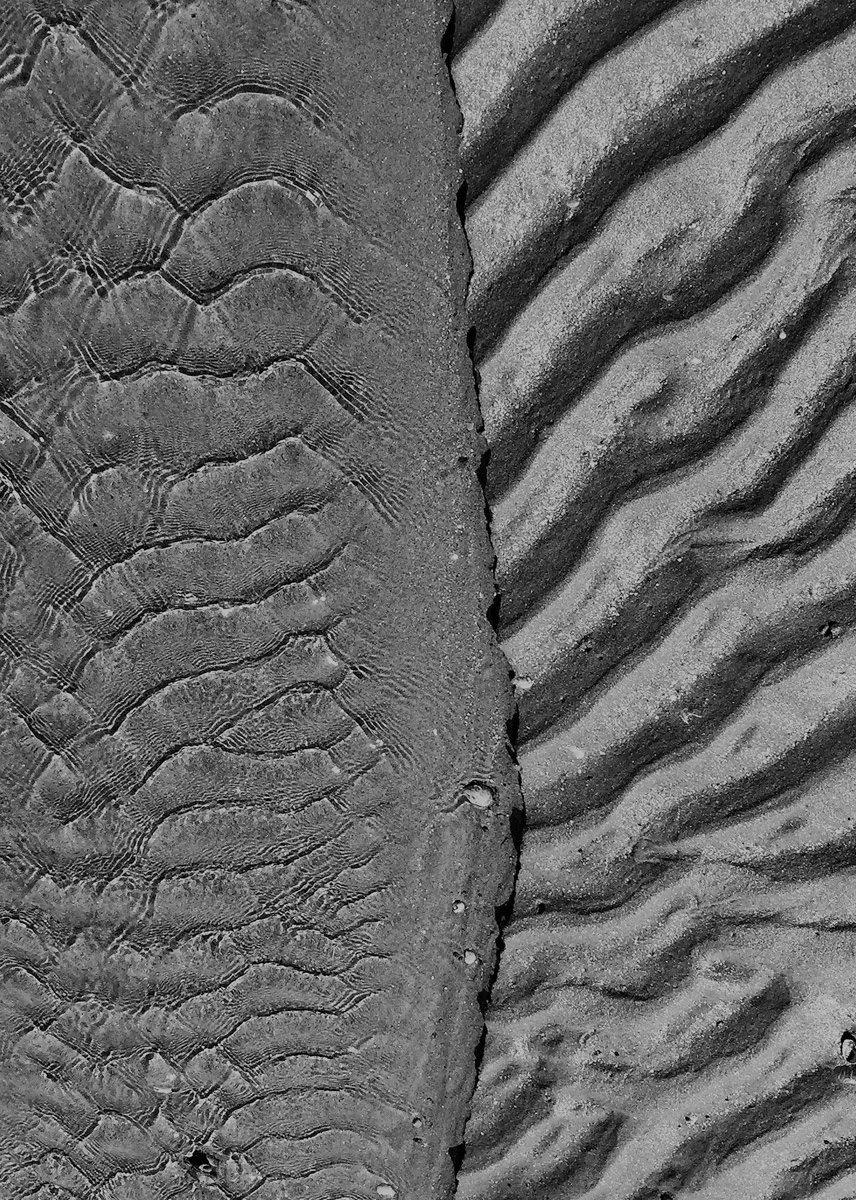 Roe K. Field - Sand Patterns #2